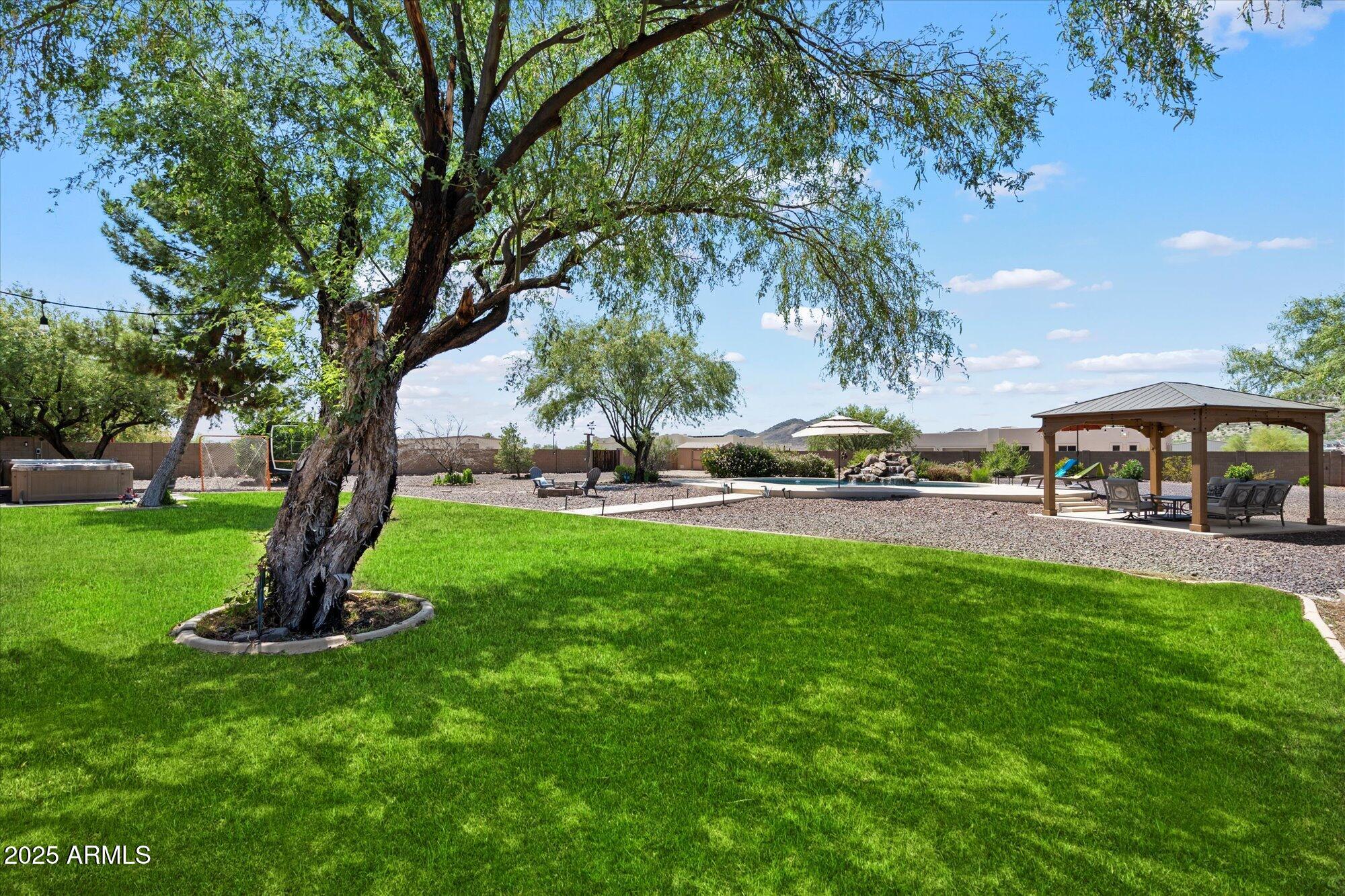 2815 West Irvine Road Phoenix, AZ 85086 - Photo 24 of 36 Grassy area