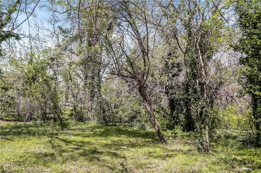 705 Wise Avenue High Point, NC 27260 - Photo 13 of 15