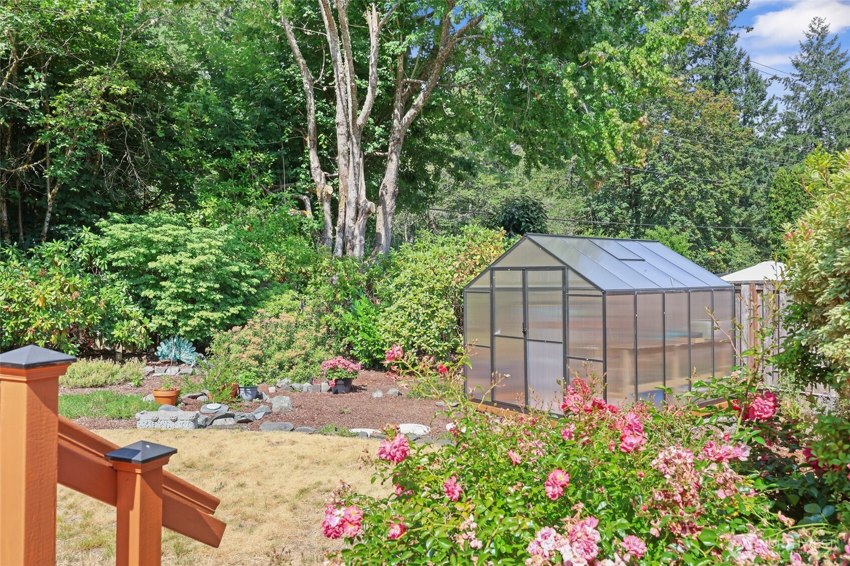 2715 Walnut Loop Northwest Olympia, WA 98502 - Photo 29 of 37 a backyard of a house with a lots of flower plants and large trees