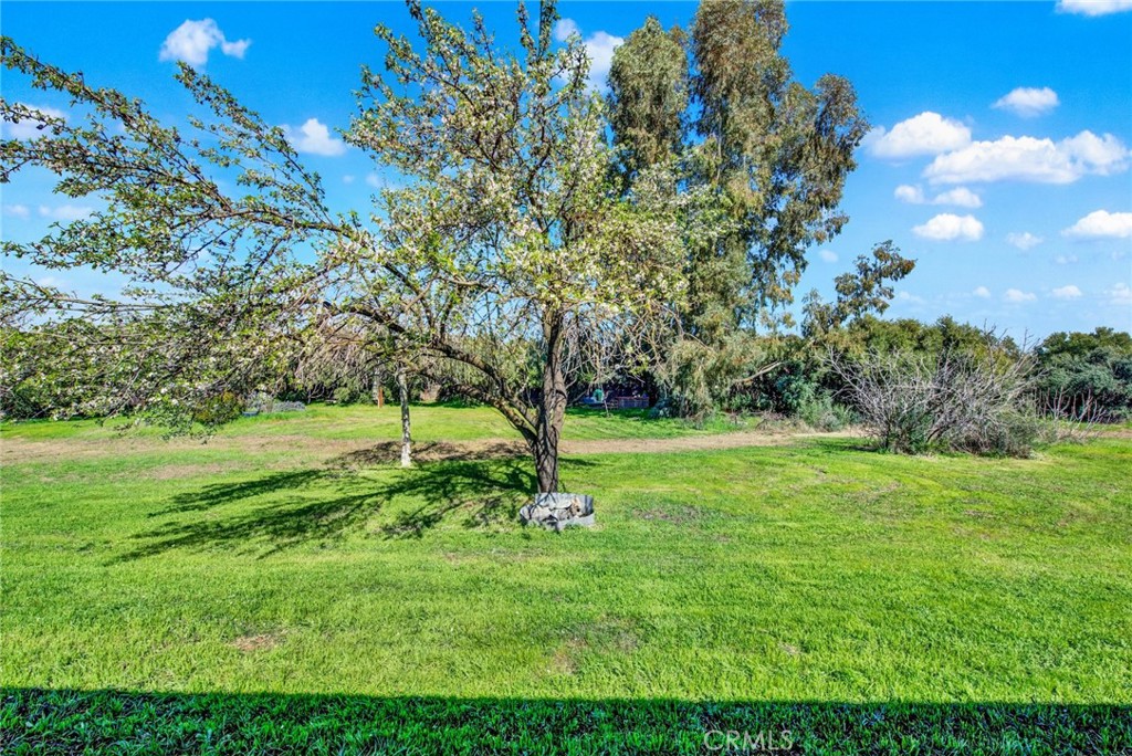 23580 Loleta Avenue Corning, CA 96021 - Photo 56 of 70