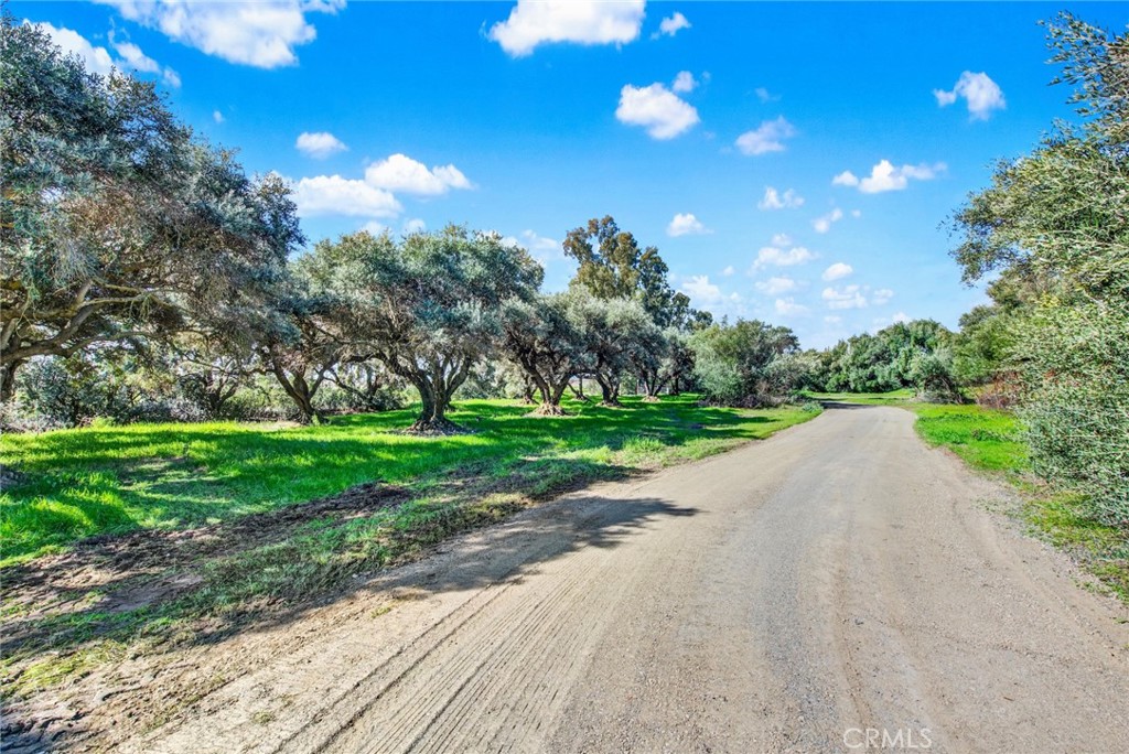23580 Loleta Avenue Corning, CA 96021 - Photo 64 of 70