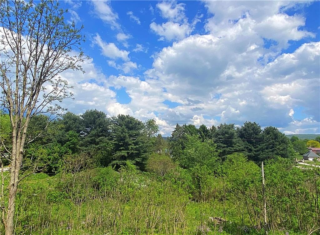 159 Mellingertown Road Mount Pleasant, PA 15666 - Photo 25 of 25 Bonus acreage across the road