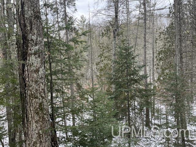 545 South Rd Skandia Mi 49885 Road Skandia, MI 49885 - Photo 22 of 38
