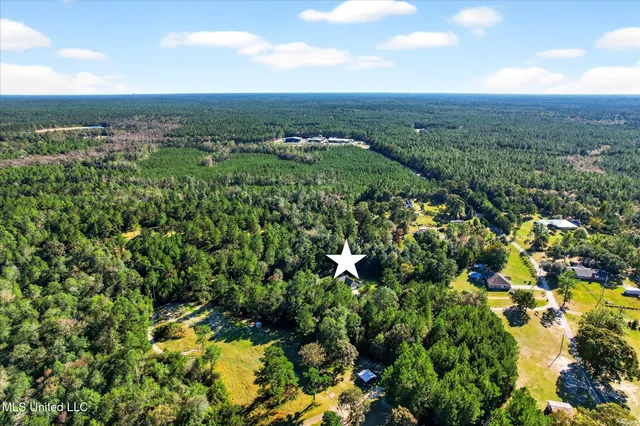 $349,000 | 78 Percy O'Neal Road, McHenry, MS 39561