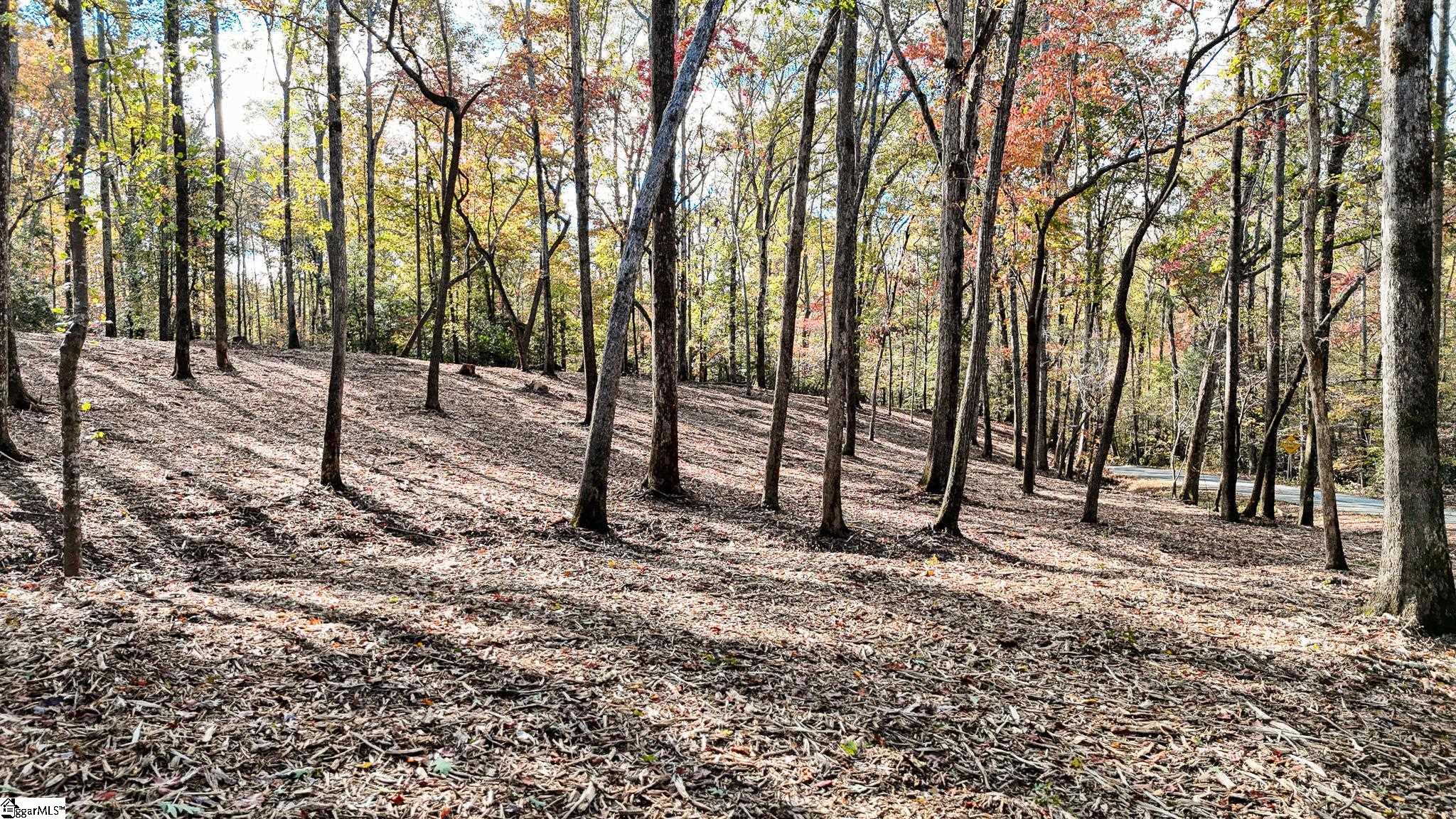 888 Old Hundred Road Pelzer, SC 29669 - Photo 4 of 27 Gallery Image 4
