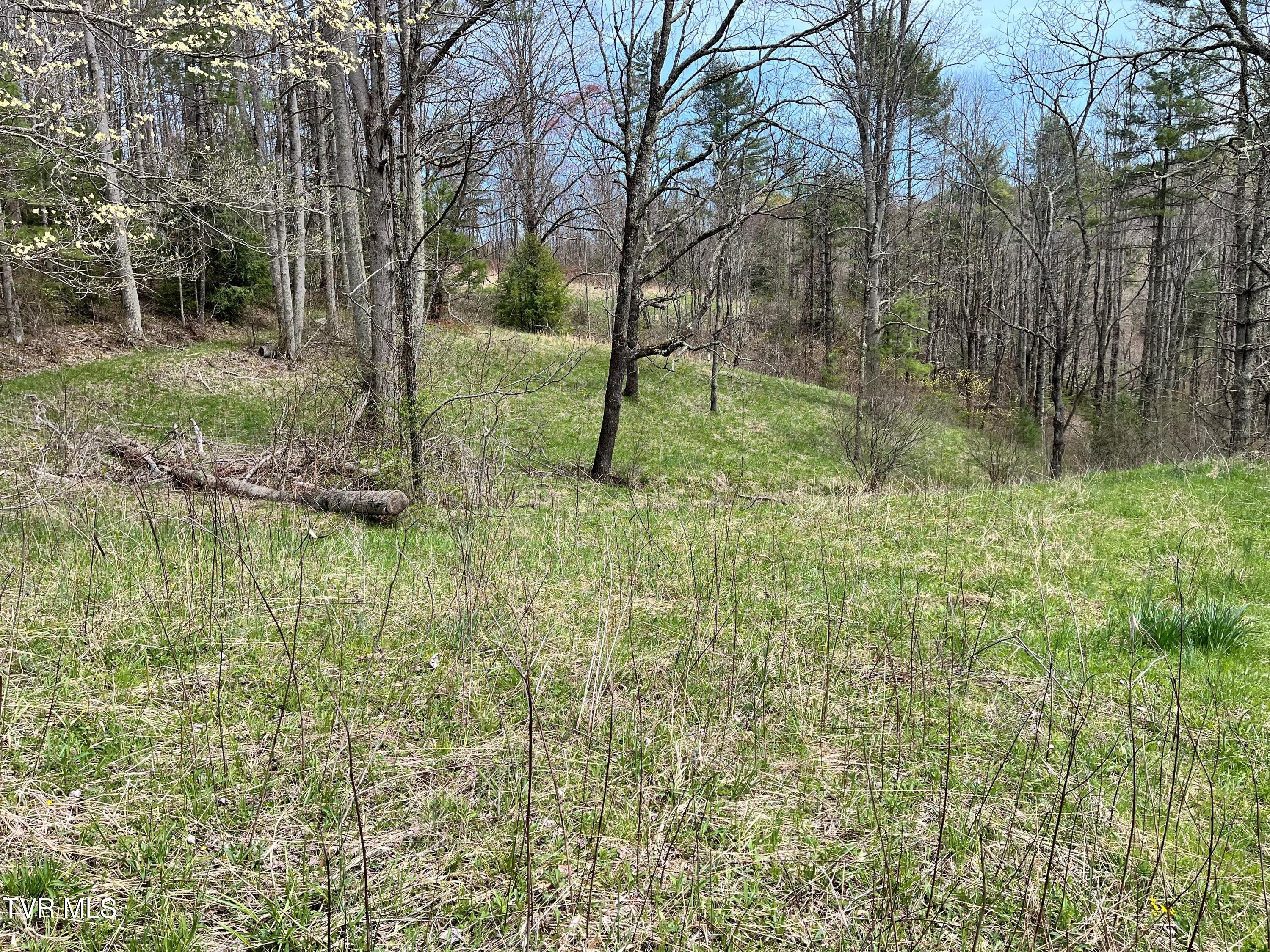 0 Heaton Branch Road Butler, TN 37640 - Photo 13 of 20 Carter HB13