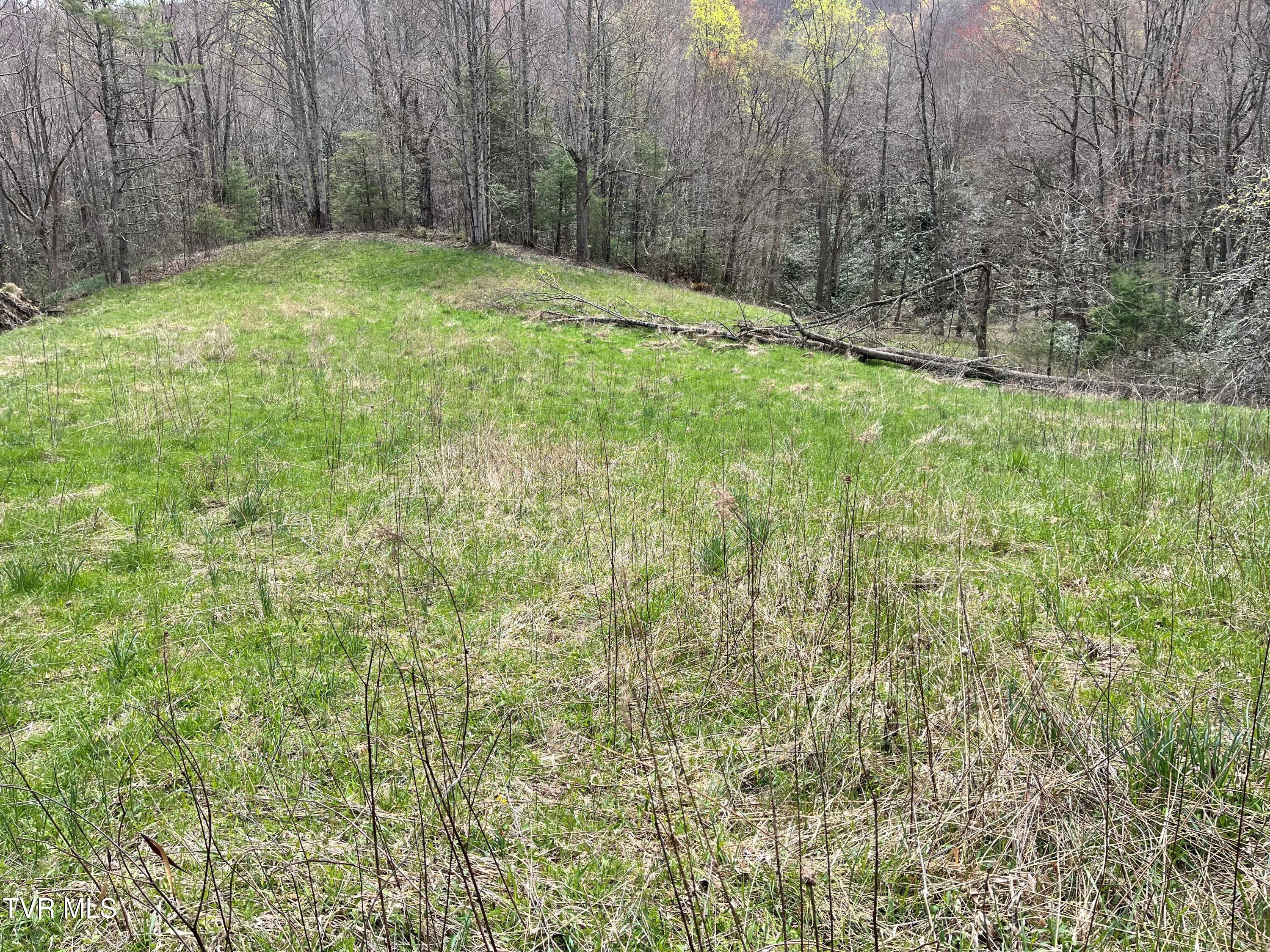 0 Heaton Branch Road Butler, TN 37640 - Photo 14 of 20 Carter HB14