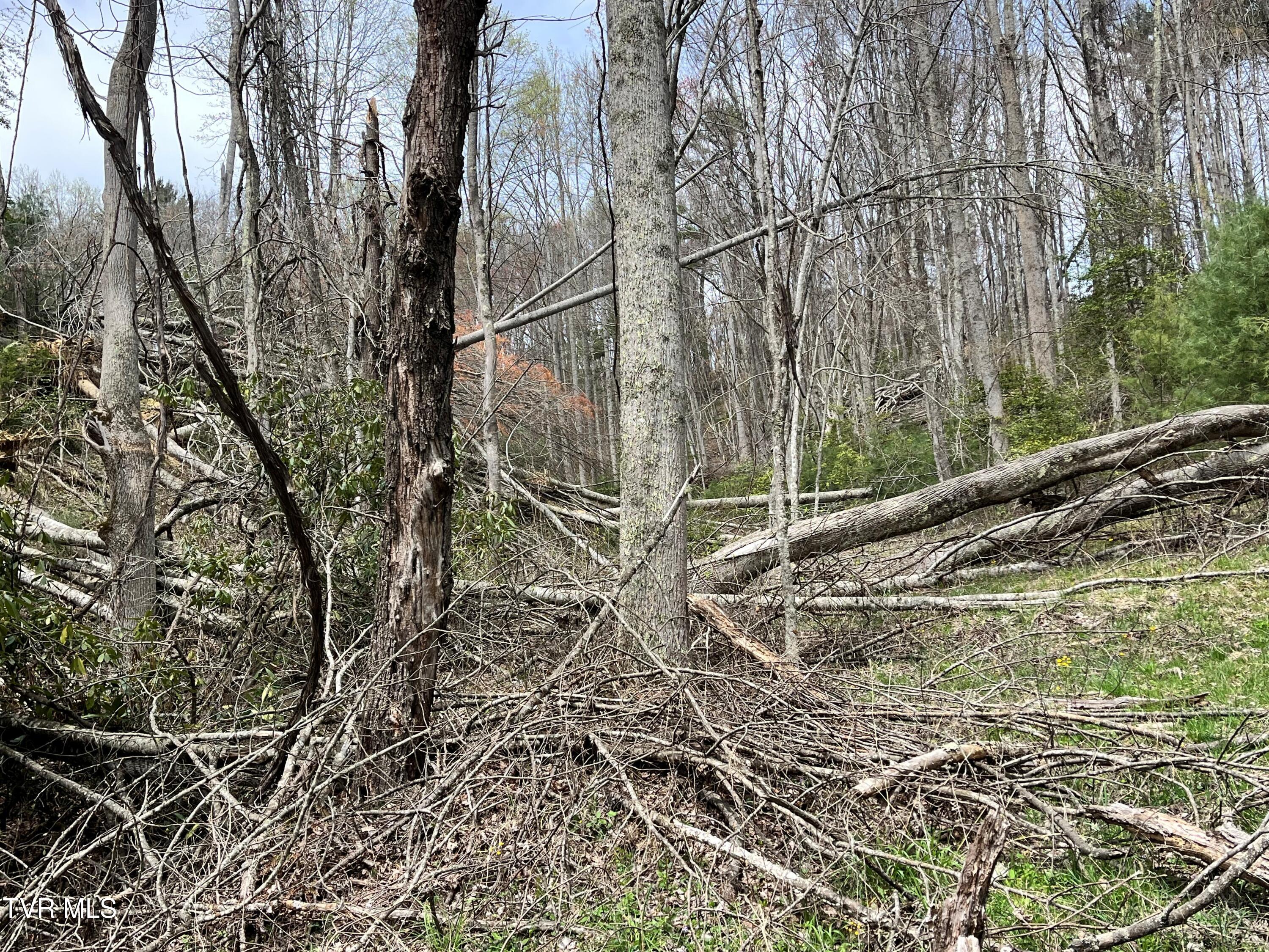 0 Heaton Branch Road Butler, TN 37640 - Photo 15 of 20 Carter HB15