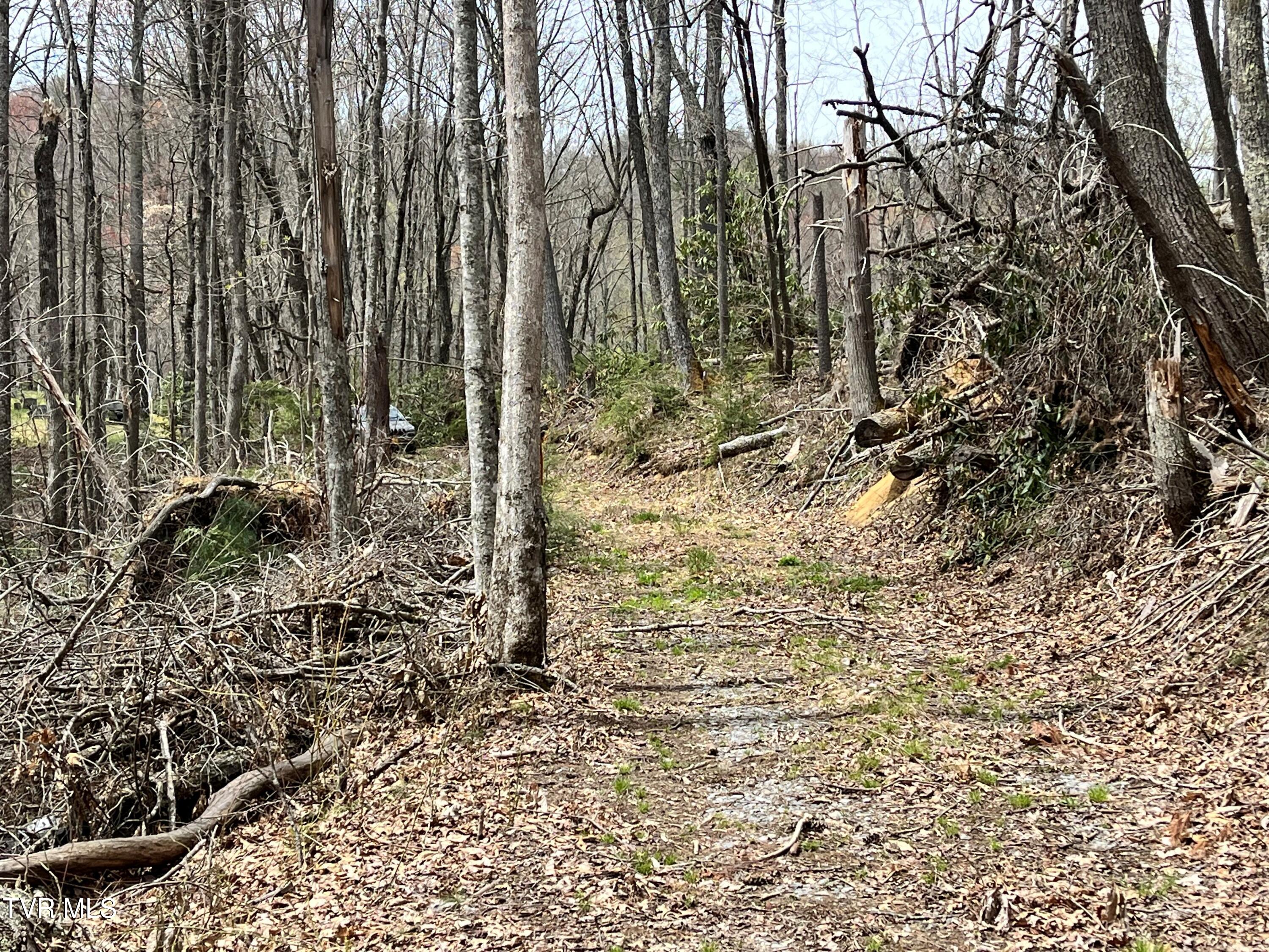 0 Heaton Branch Road Butler, TN 37640 - Photo 16 of 20 Carter HB17