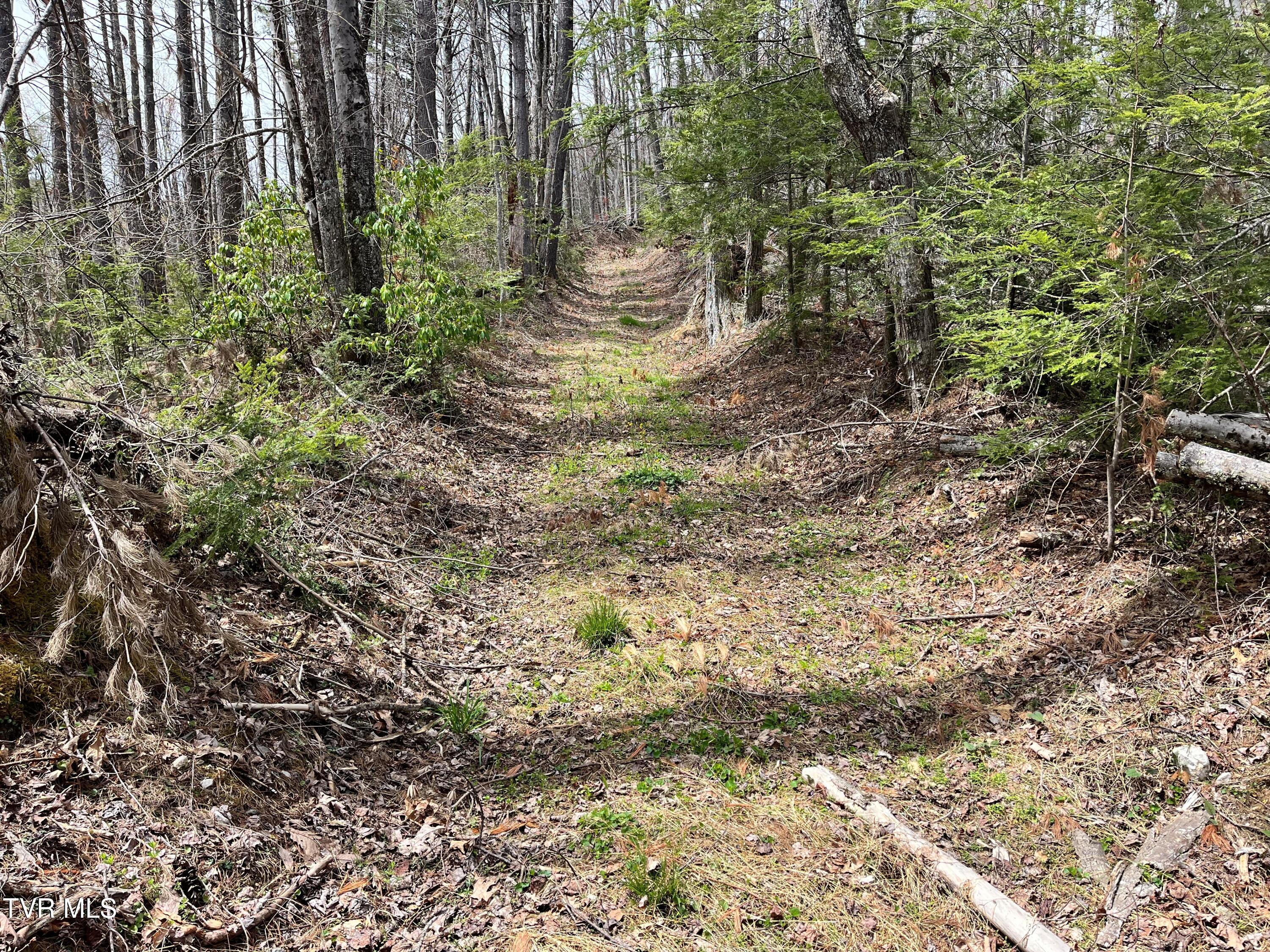 0 Heaton Branch Road Butler, TN 37640 - Photo 17 of 20 Carter HB16