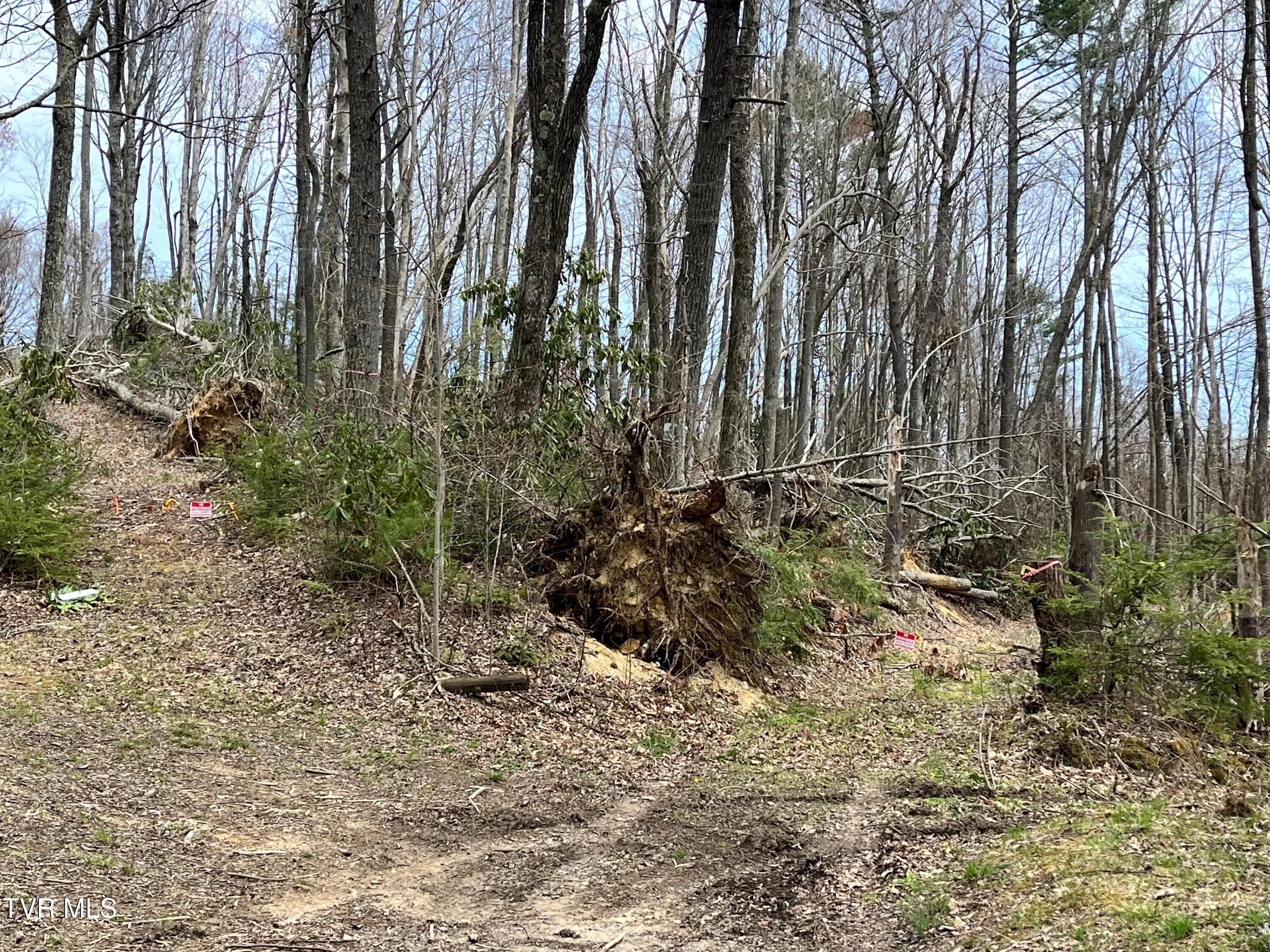 0 Heaton Branch Road Butler, TN 37640 - Photo 18 of 20 Carter HB 18