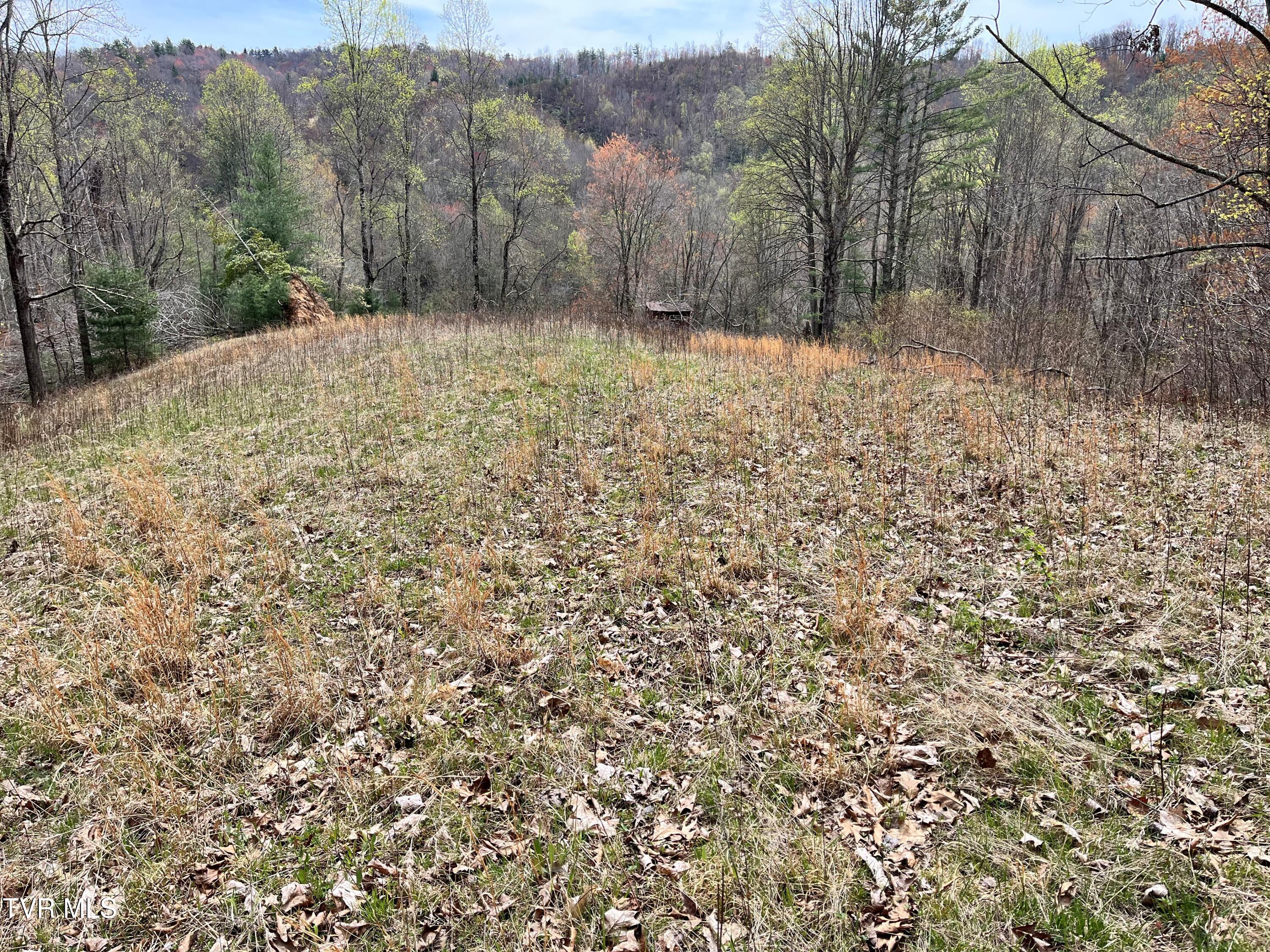 0 Heaton Branch Road Butler, TN 37640 - Photo 2 of 20 Carter HB10