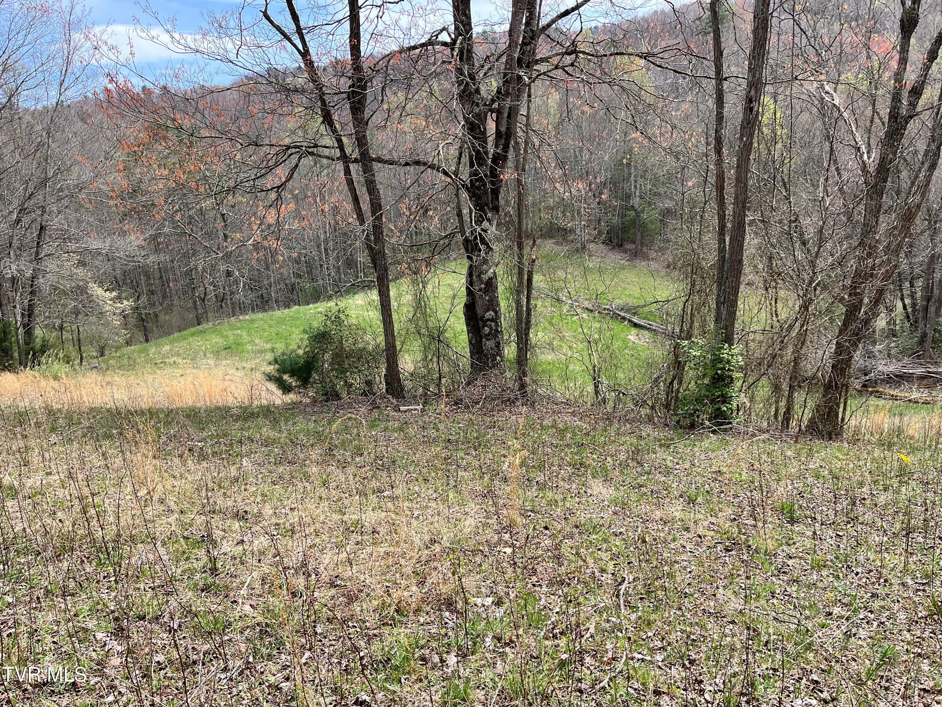 0 Heaton Branch Road Butler, TN 37640 - Photo 3 of 20 Carter HB12