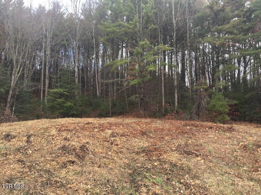 0 Heaton Branch Road Butler, TN 37640 - Photo 4 of 20 Carter HB1