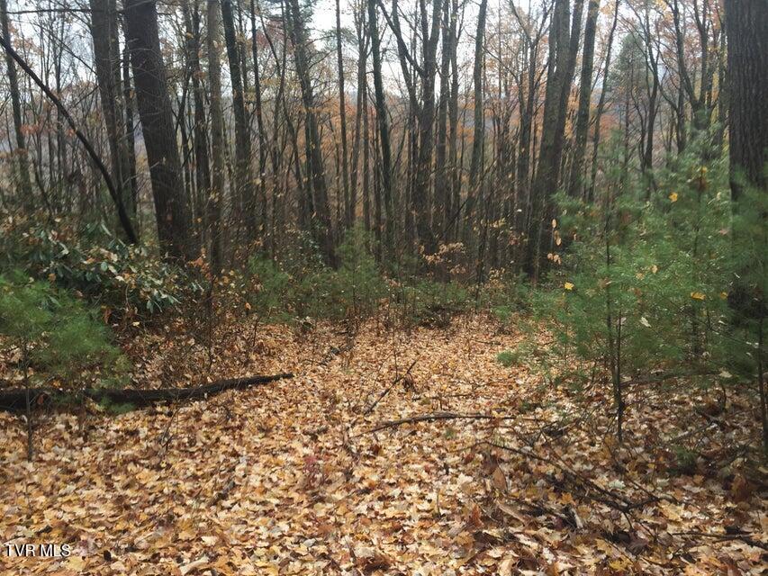 0 Heaton Branch Road Butler, TN 37640 - Photo 5 of 20 Carter HB2