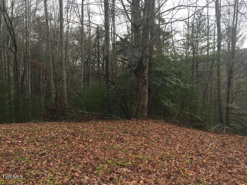 0 Heaton Branch Road Butler, TN 37640 - Photo 6 of 20 Carter HB3