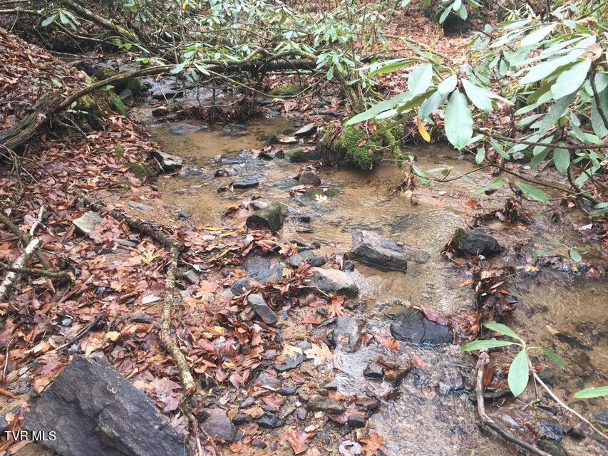 0 Heaton Branch Road Butler, TN 37640 - Photo 7 of 20 Carter HB5