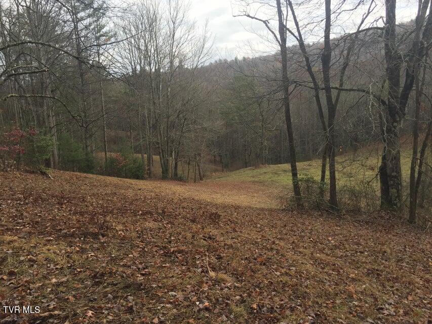 0 Heaton Branch Road Butler, TN 37640 - Photo 8 of 20 Carter HB6