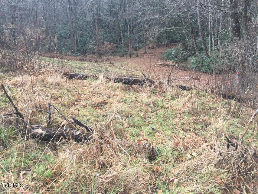 0 Heaton Branch Road Butler, TN 37640 - Photo 9 of 20 Carter HB7