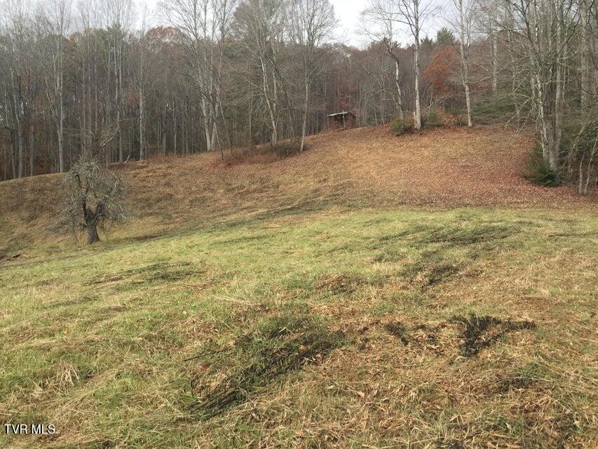 0 Heaton Branch Road Butler, TN 37640 - Photo 10 of 20 Carter HB8