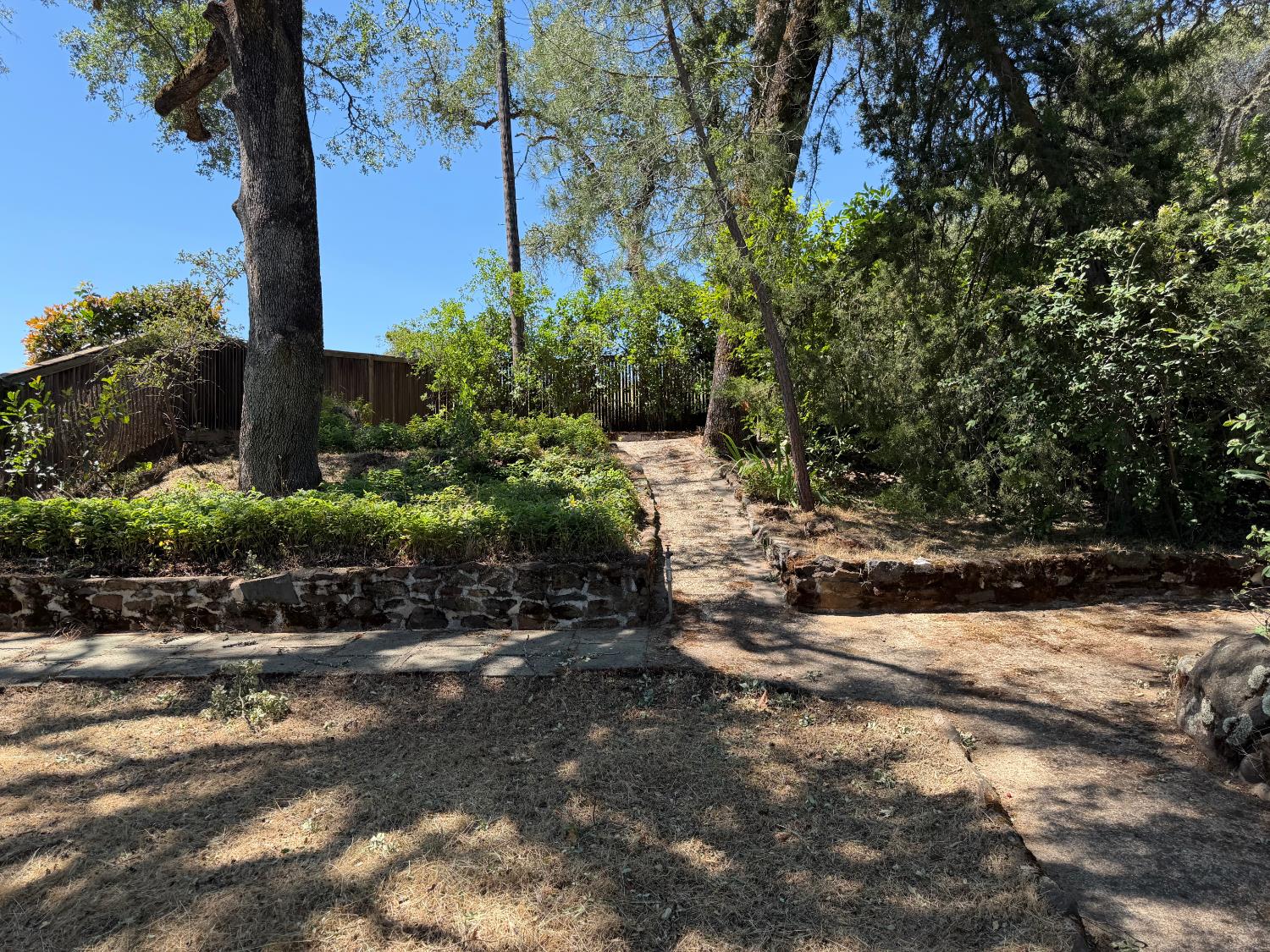 231 Boarman Street Jackson, CA 95642 - Photo 62 of 65 Flat area rear of lot
