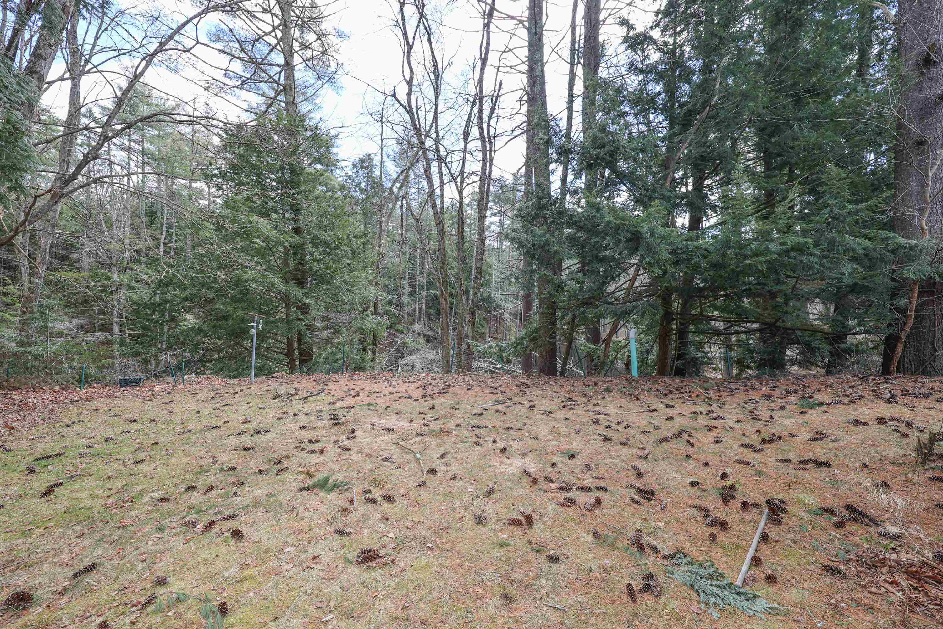 37 Old Cart Road Raymond, NH 03077 - Photo 14 of 19 Gallery Image 14