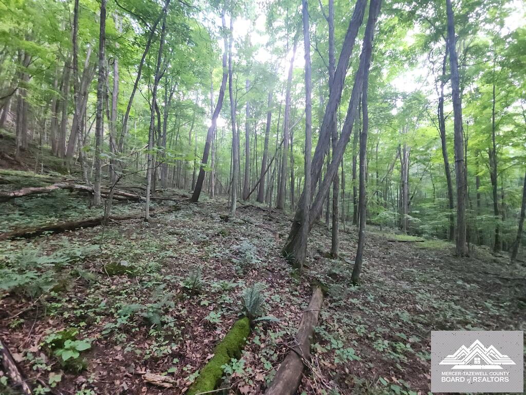 900 Hayes Valley Road Princeton, WV 24739 - Photo 11 of 36 Gallery Image 11