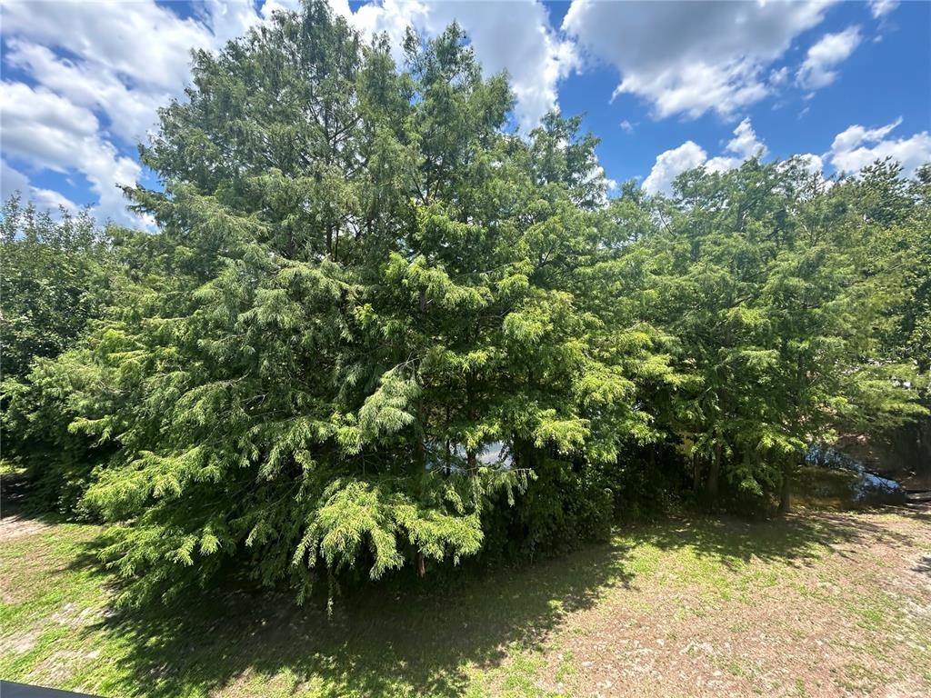 2360 Southwest Archer Road, Unit 1012 Gainesville, FL 32608 - Photo 25 of 28 a view of a lake