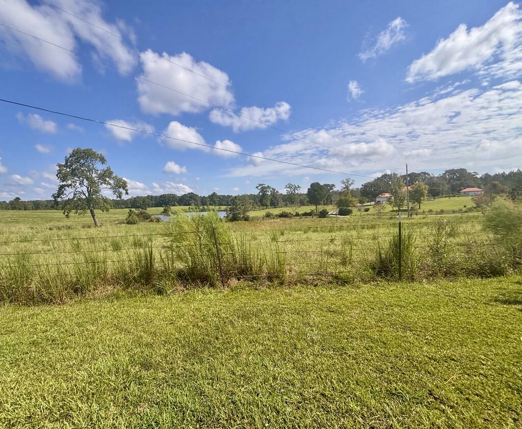 114 East T Poole Road Poplarville, MS 39470 - Photo 68 of 73 Gallery Image 68