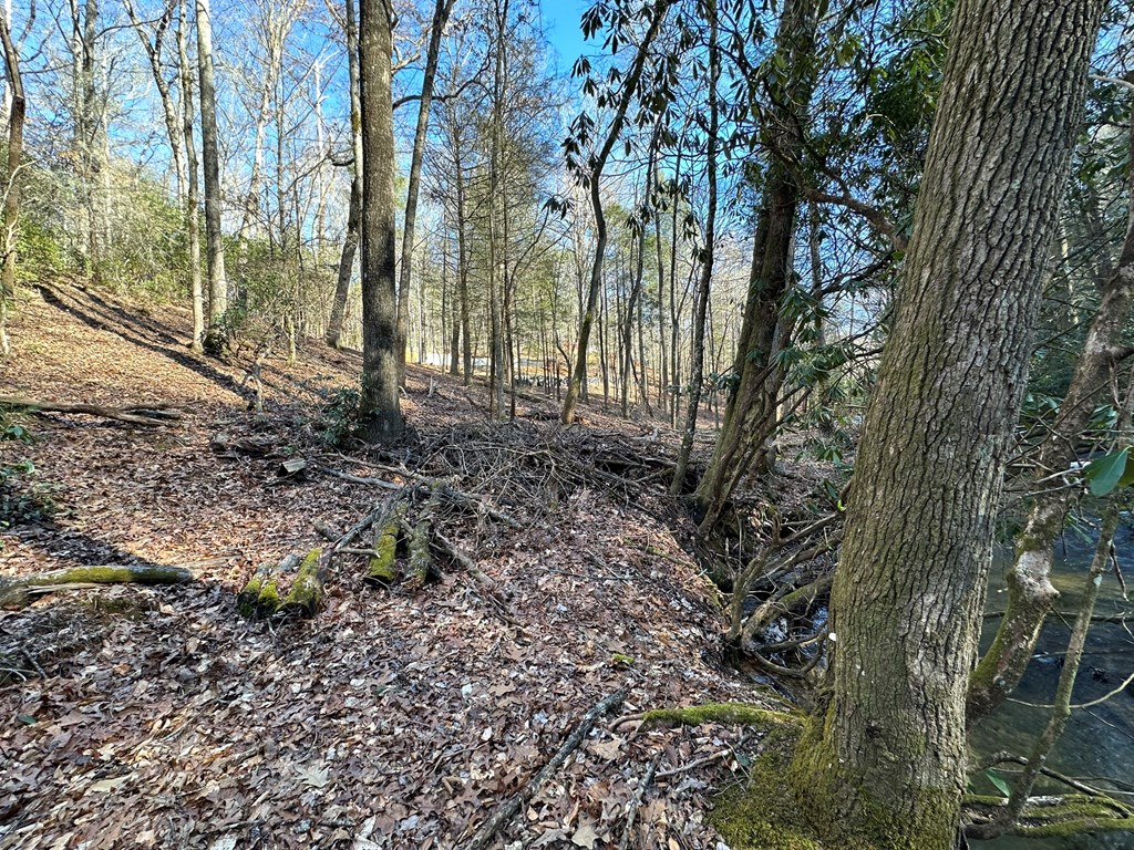 1 Big Creek Road Cherry Log, GA 30522 - Photo 11 of 37 Gallery Image 11