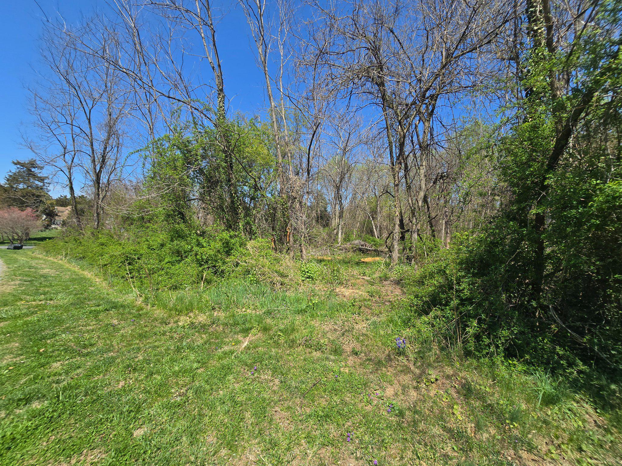 32072 Shorewood Road Galena, MD 21635 - Photo 7 of 11 Buildable Lot