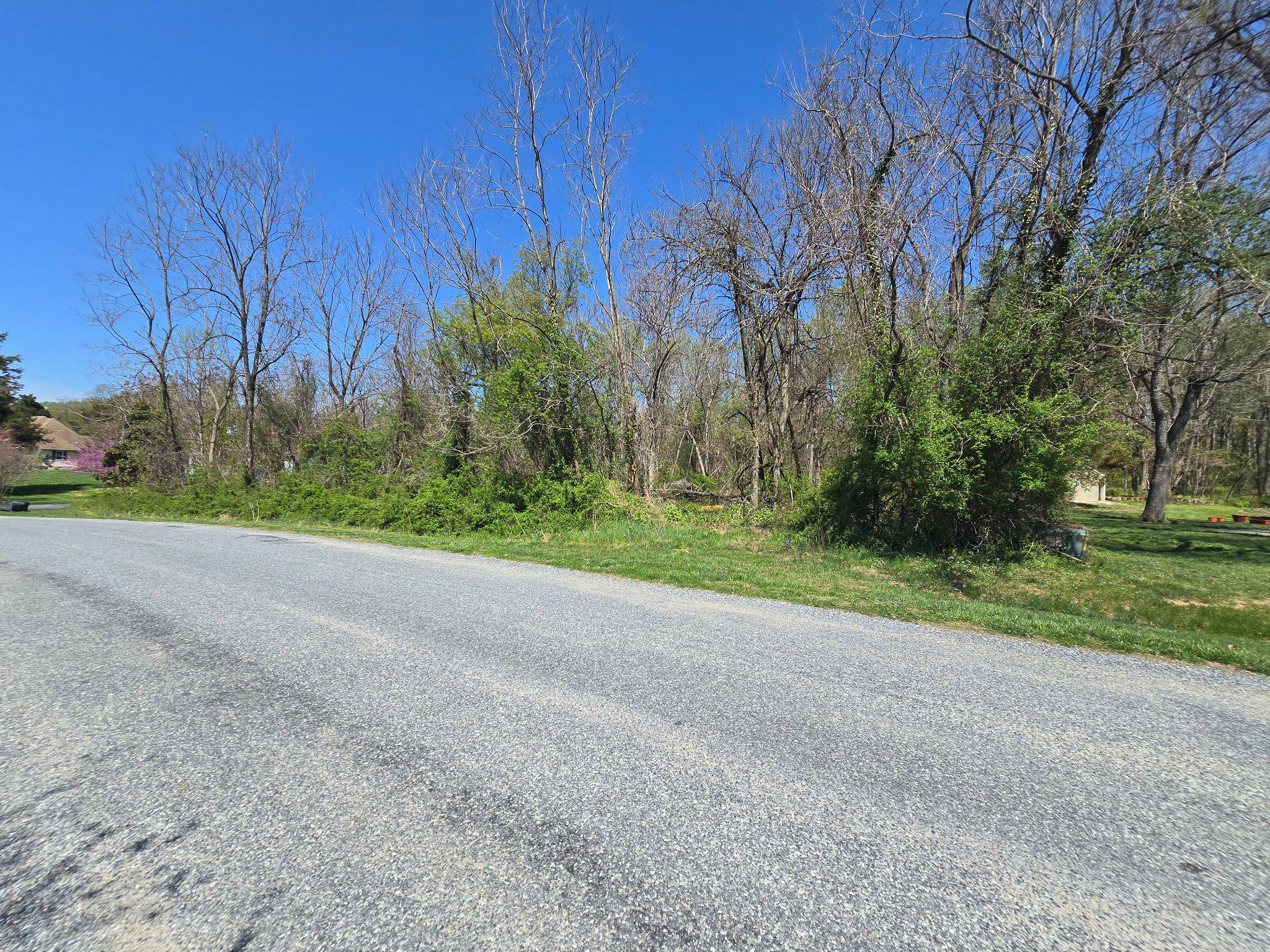 32072 Shorewood Road Galena, MD 21635 - Photo 8 of 11 Your Buildable Lot in shorewood Estates