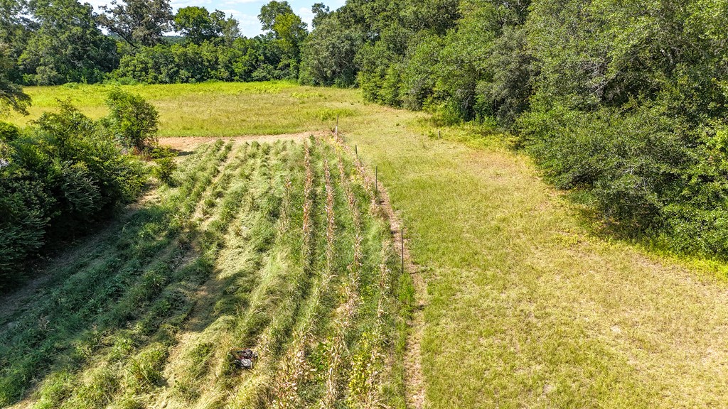 0 Main Street Headland, AL 36345 - Photo 5 of 12