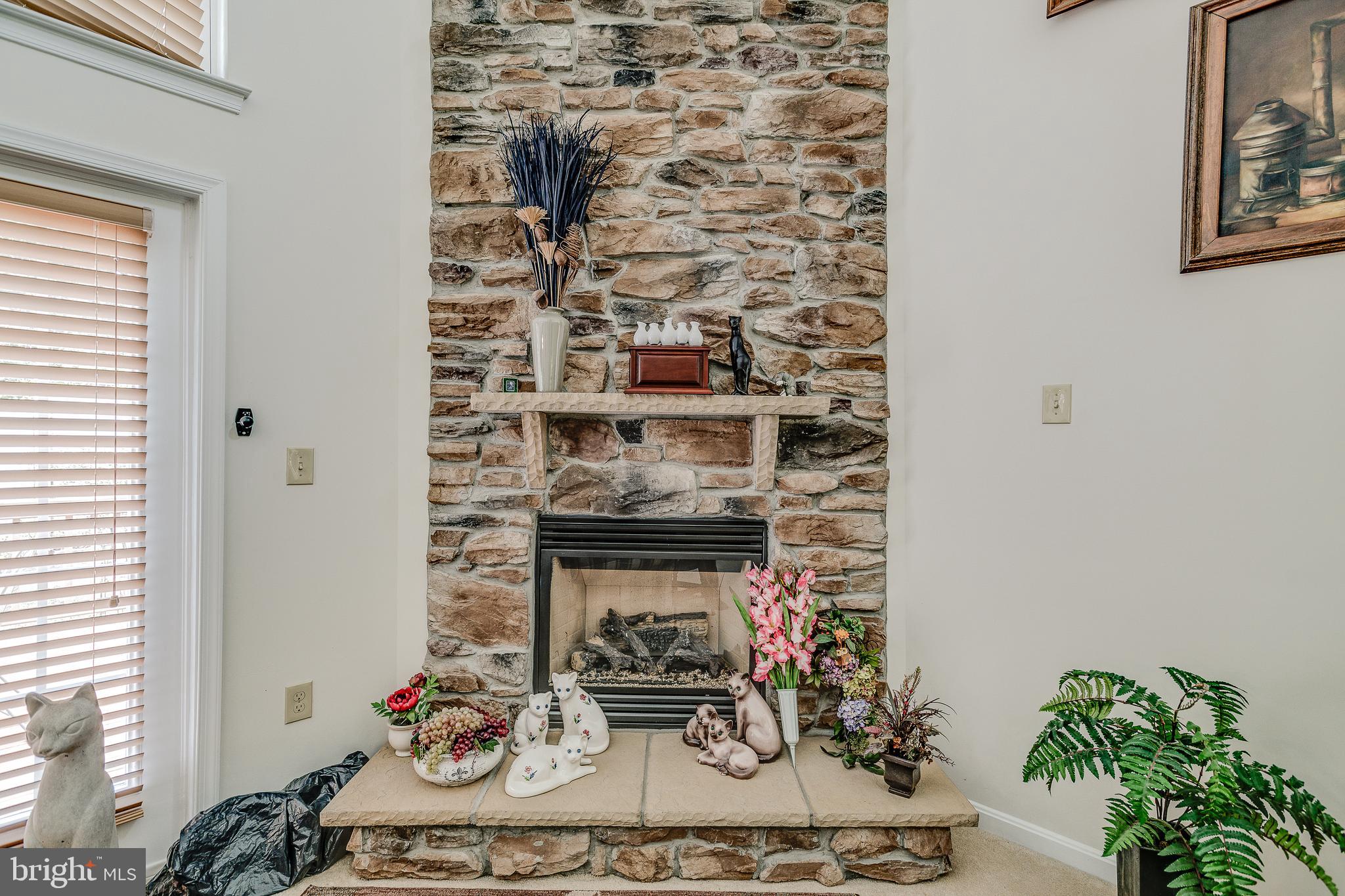 687 Hunters Road Culpeper, VA 22701 - Photo 12 of 57 a room with a fireplace and potted plants on the table