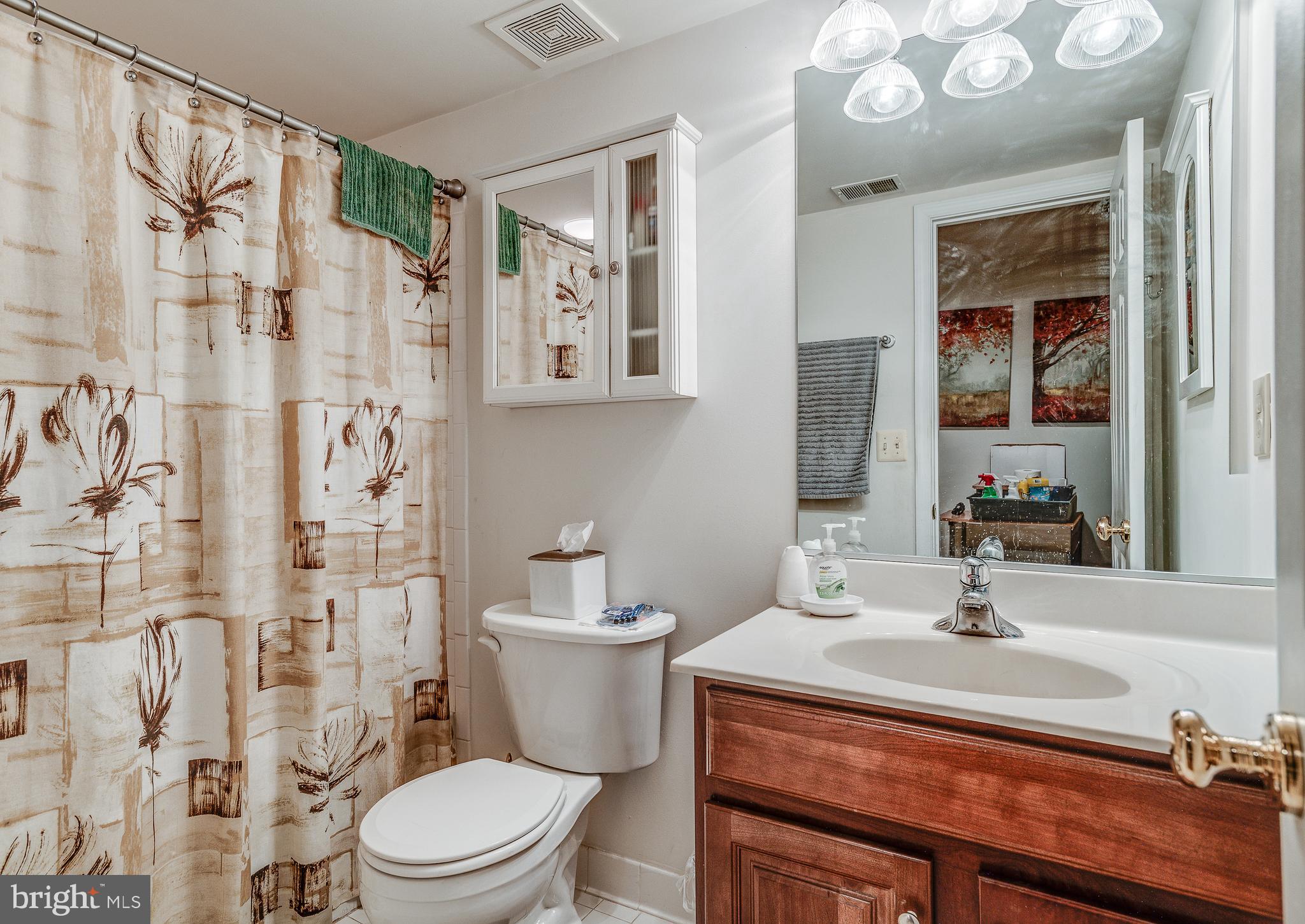687 Hunters Road Culpeper, VA 22701 - Photo 37 of 57 a bathroom with a sink a toilet and shower curtain