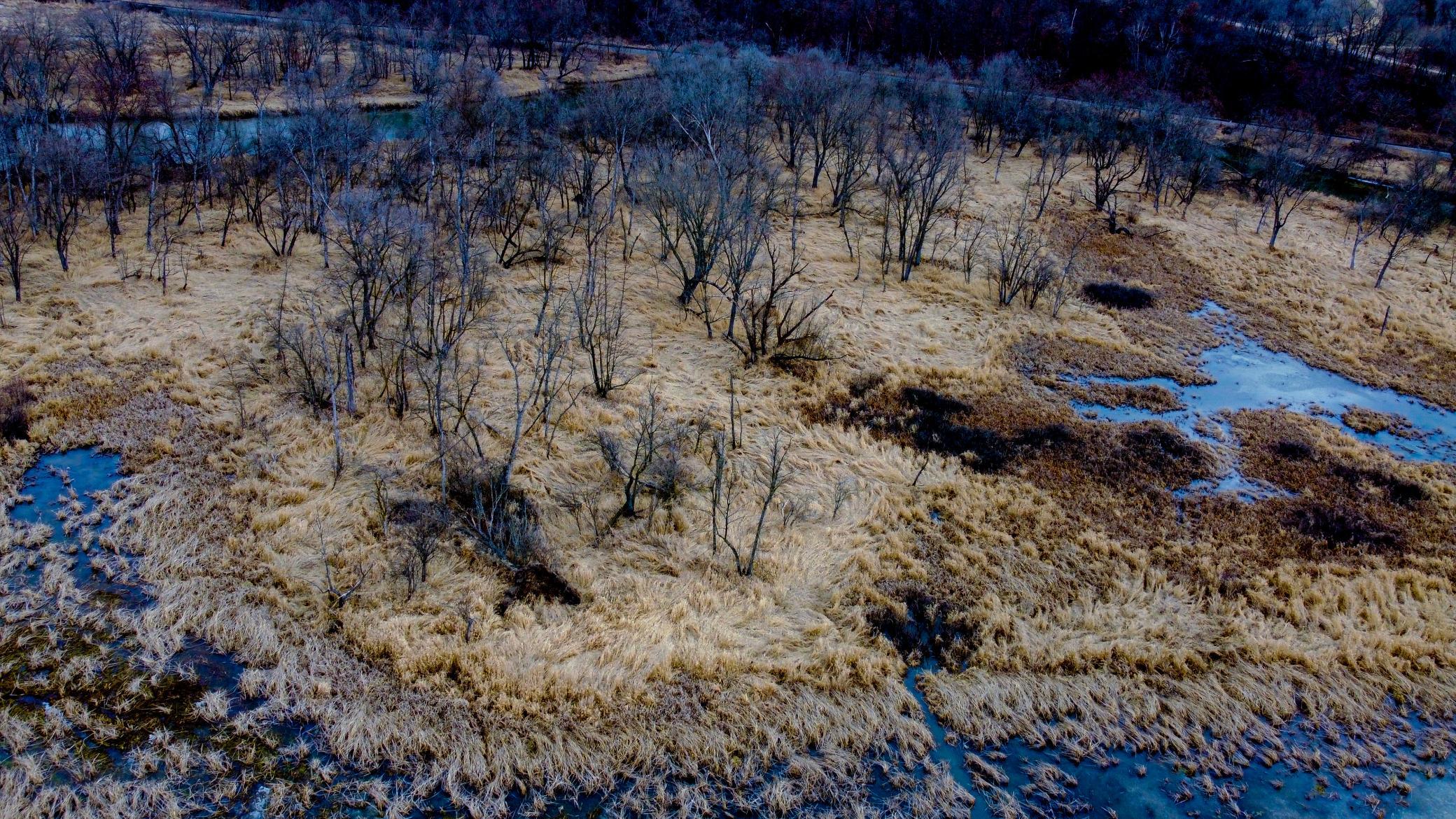 0 River Road Arcadia, WI 54612 - Photo 1 of 1 Gallery Image 1