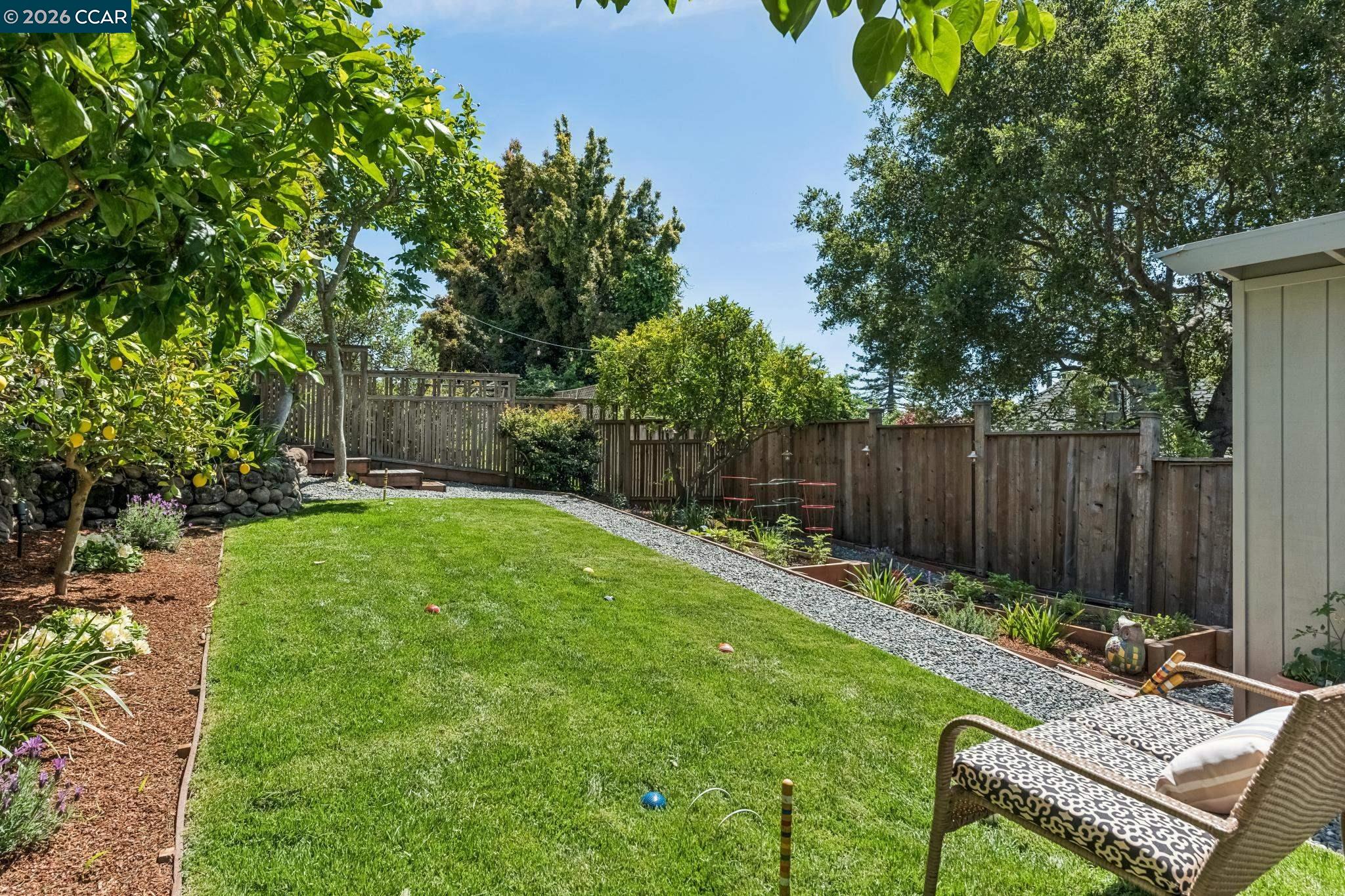 212 Yale Avenue Kensington, CA 94708 - Photo 46 of 70 a view of a backyard with couches plants and large trees