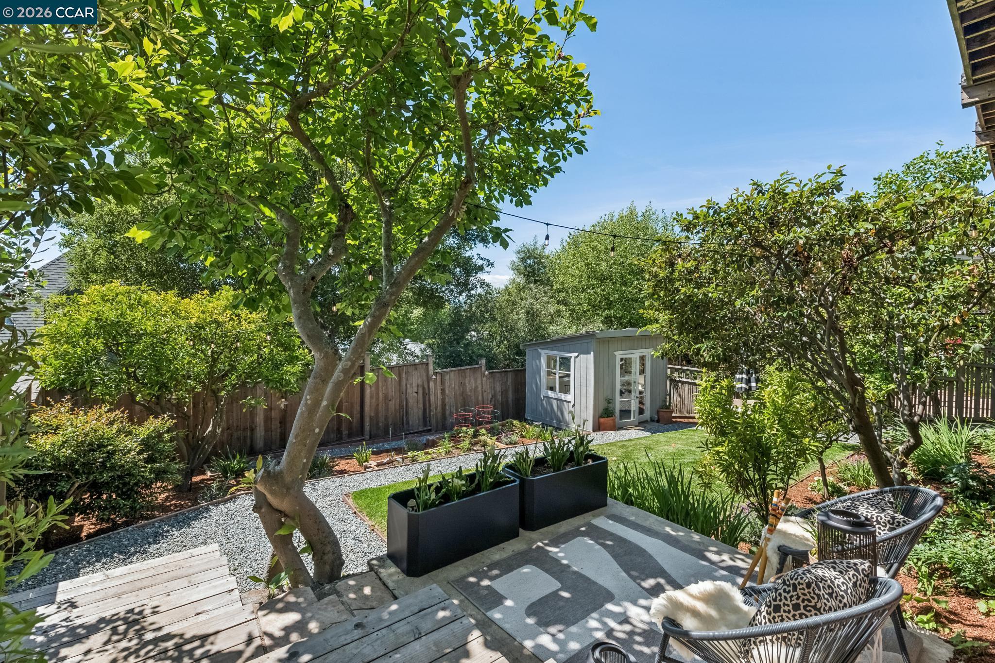 212 Yale Avenue Kensington, CA 94708 - Photo 53 of 70 a view of a balcony with chairs potted plants and large tree