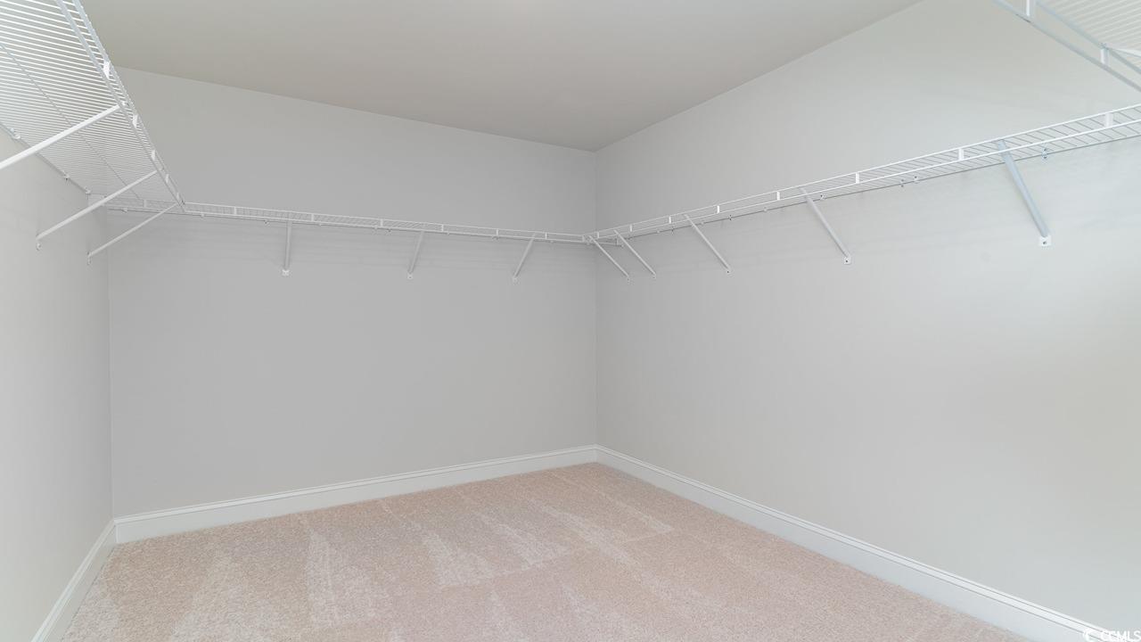 828 Hibernation Way Conway, SC 29526 - Photo 25 of 30 Spacious closet with carpet flooring