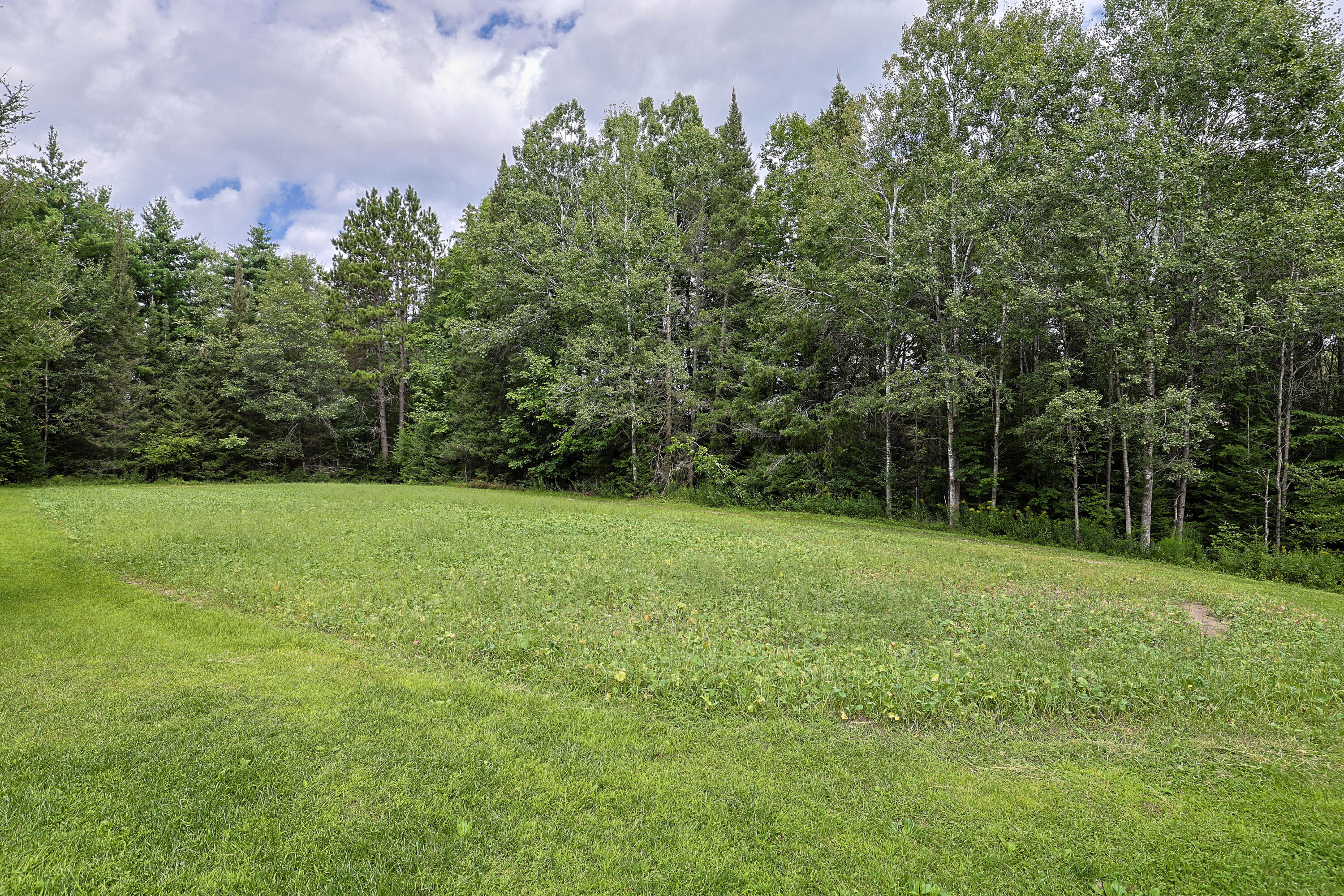 6720 Welch Road Curran, MI 48728 - Photo 97 of 155 011A0172 copy