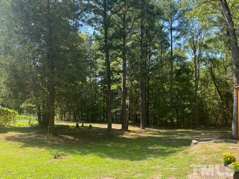 319 Cousin Road Rougemont, NC 27572 - Photo 17 of 17 a view of a yard with a trees