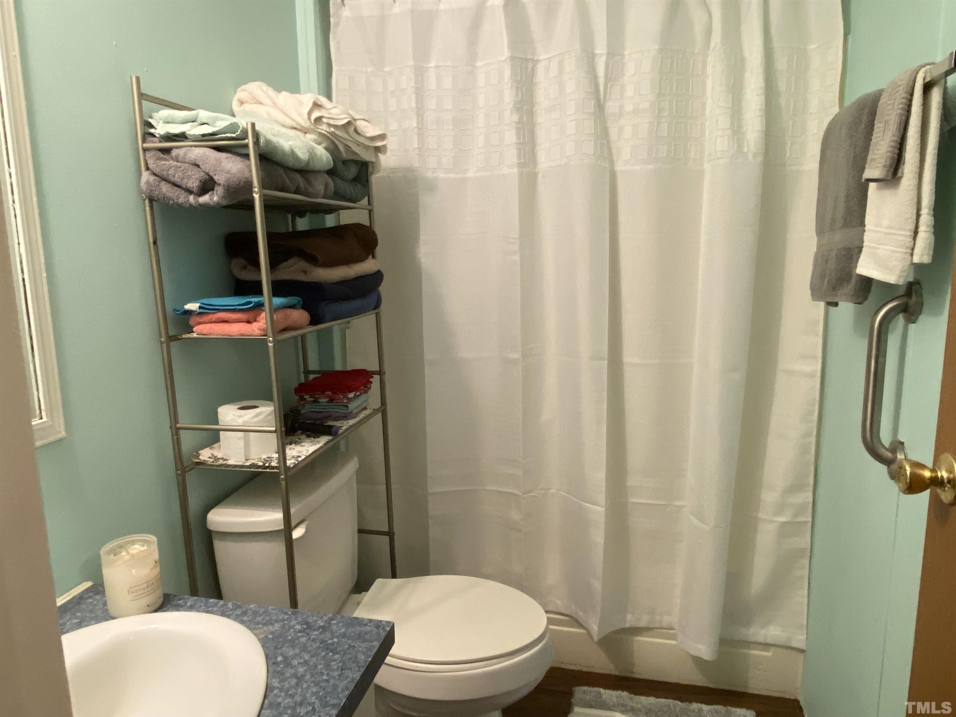 319 Cousin Road Rougemont, NC 27572 - Photo 9 of 17 a bathroom with a toilet and a sink