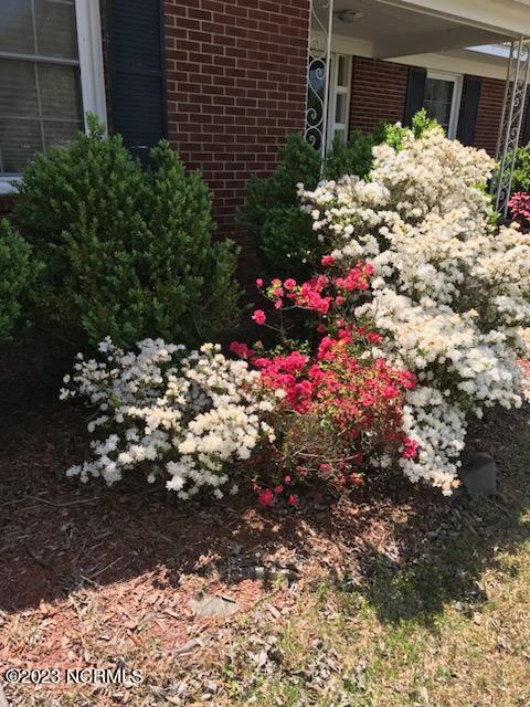 193 Midway Road Rockingham, NC 28379 - Photo 28 of 30 azaleas in bloom