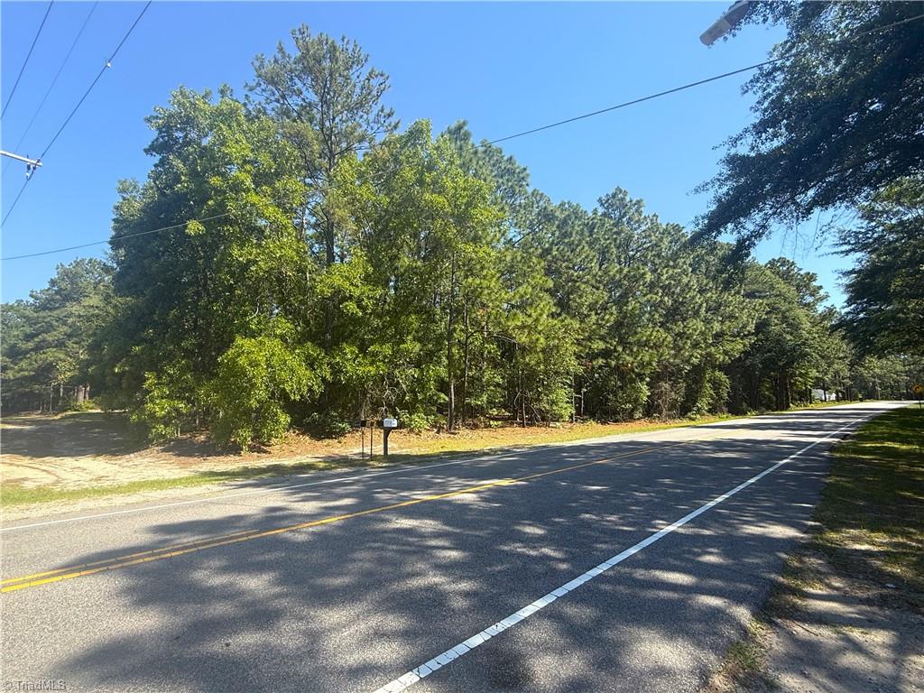 Tbd Cheraw Road Hamlet, NC 28345 - Photo 8 of 9