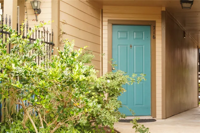 a view of a potted plant from a door