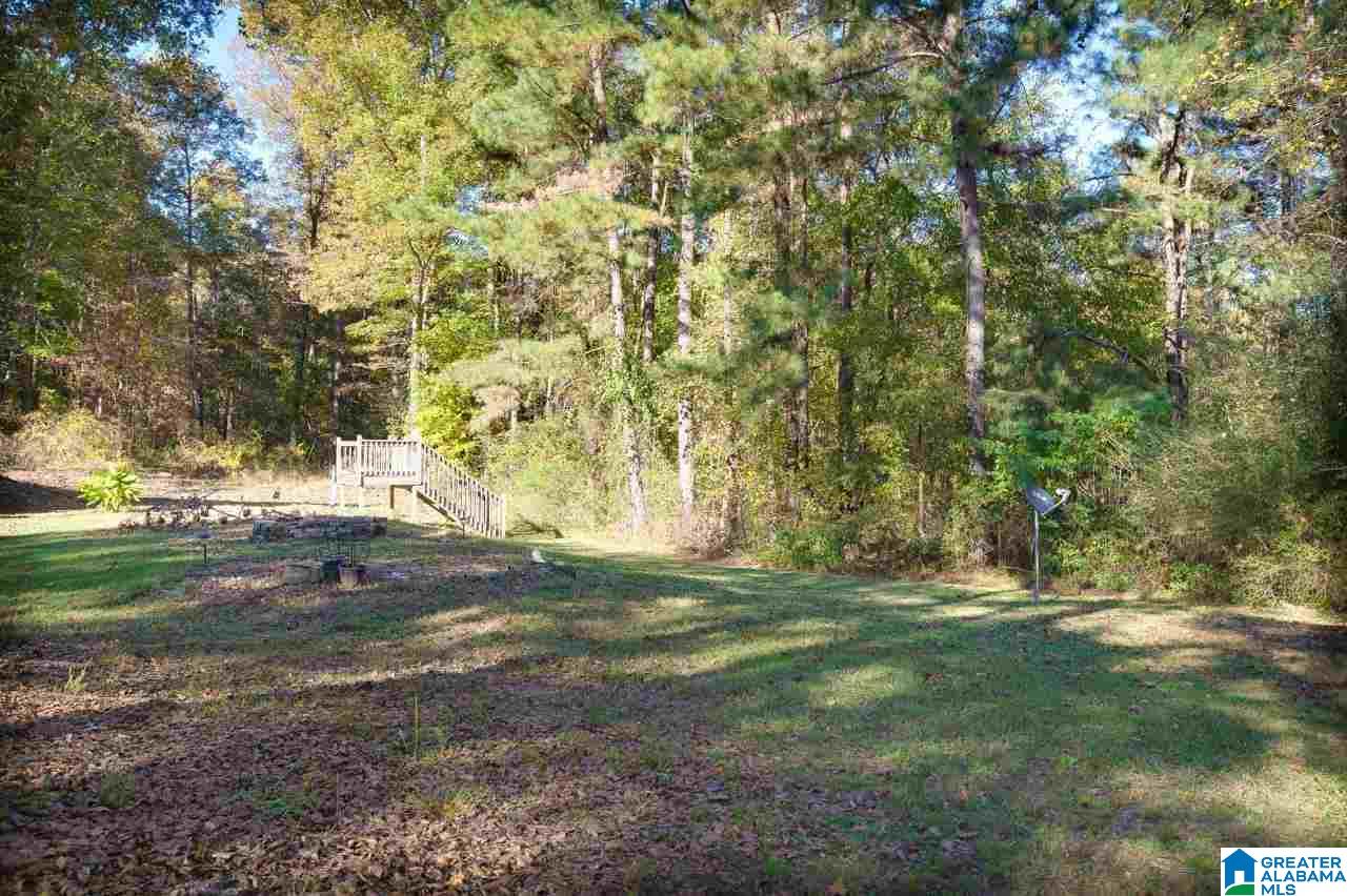 6145 Shoal Creek Road Ashville, AL 35953 - Photo 28 of 30
