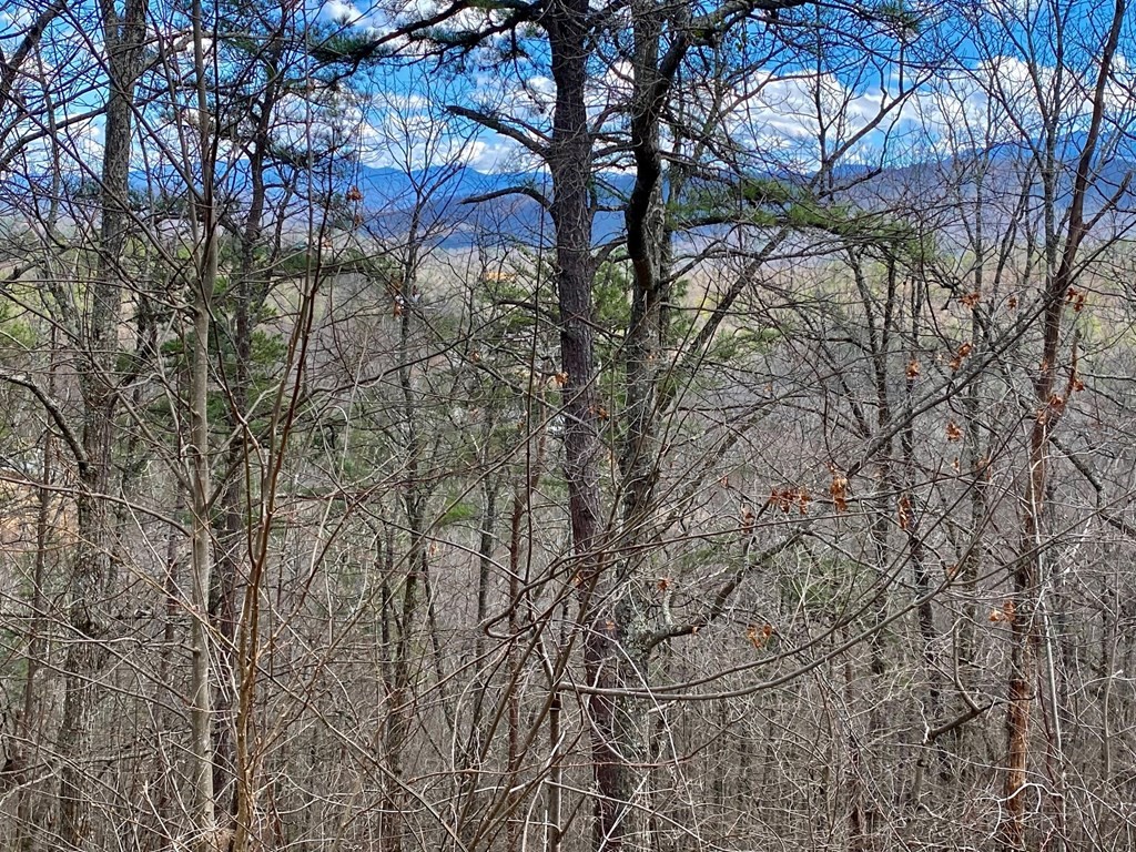 1749 Pinestand Rdg Way Sevierville, TN 37862 - Photo 4 of 5