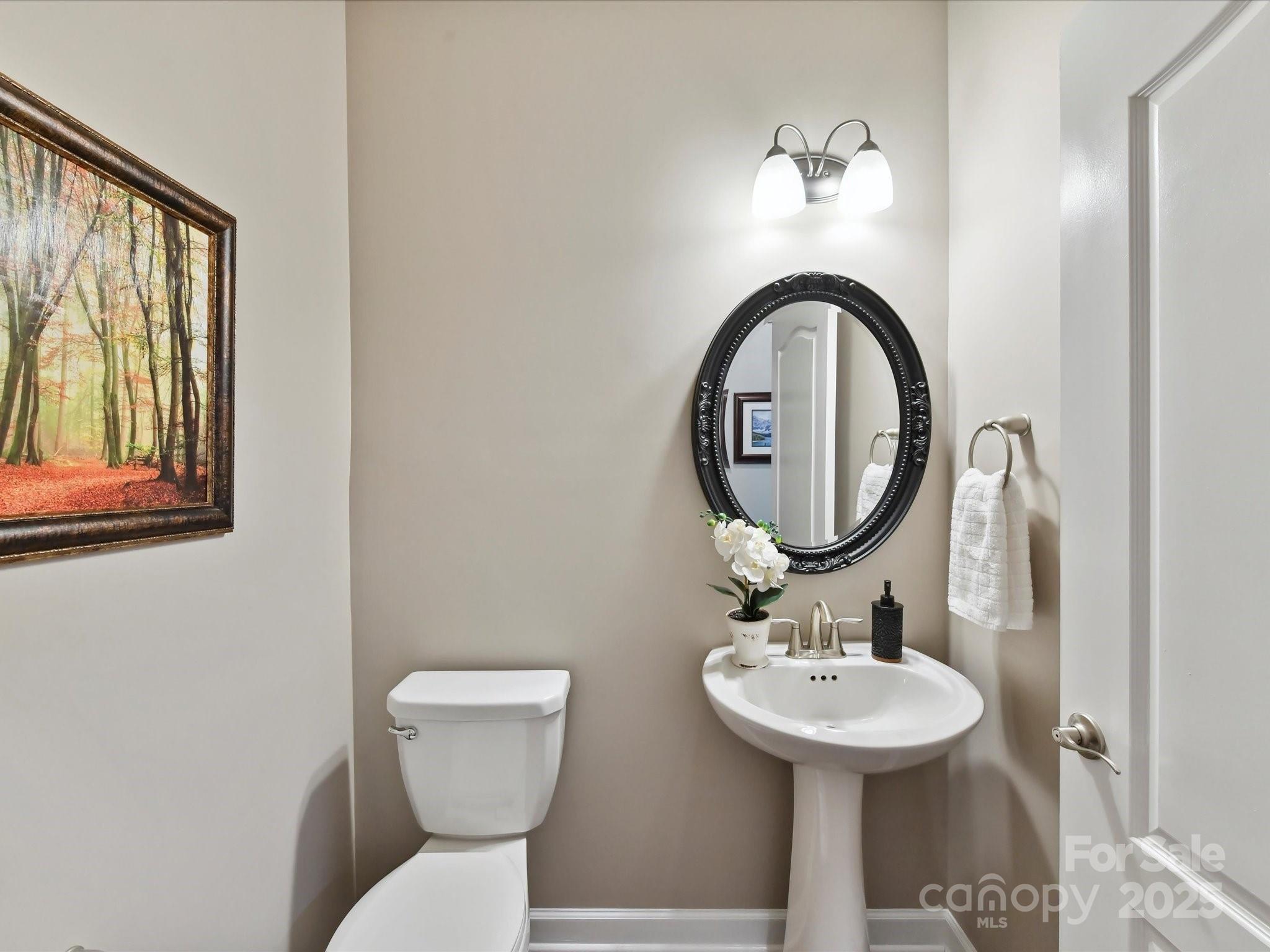 2972 Arches Bluff Circle Lancaster, SC 29720 - Photo 25 of 47 a bathroom with a sink and a mirror