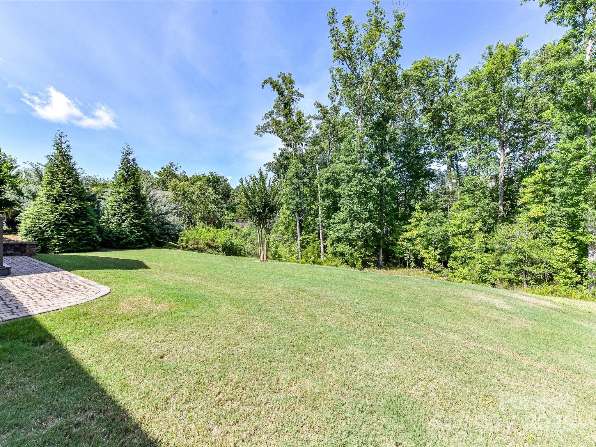 2972 Arches Bluff Circle Lancaster, SC 29720 - Photo 33 of 47 a view of a yard with a tree