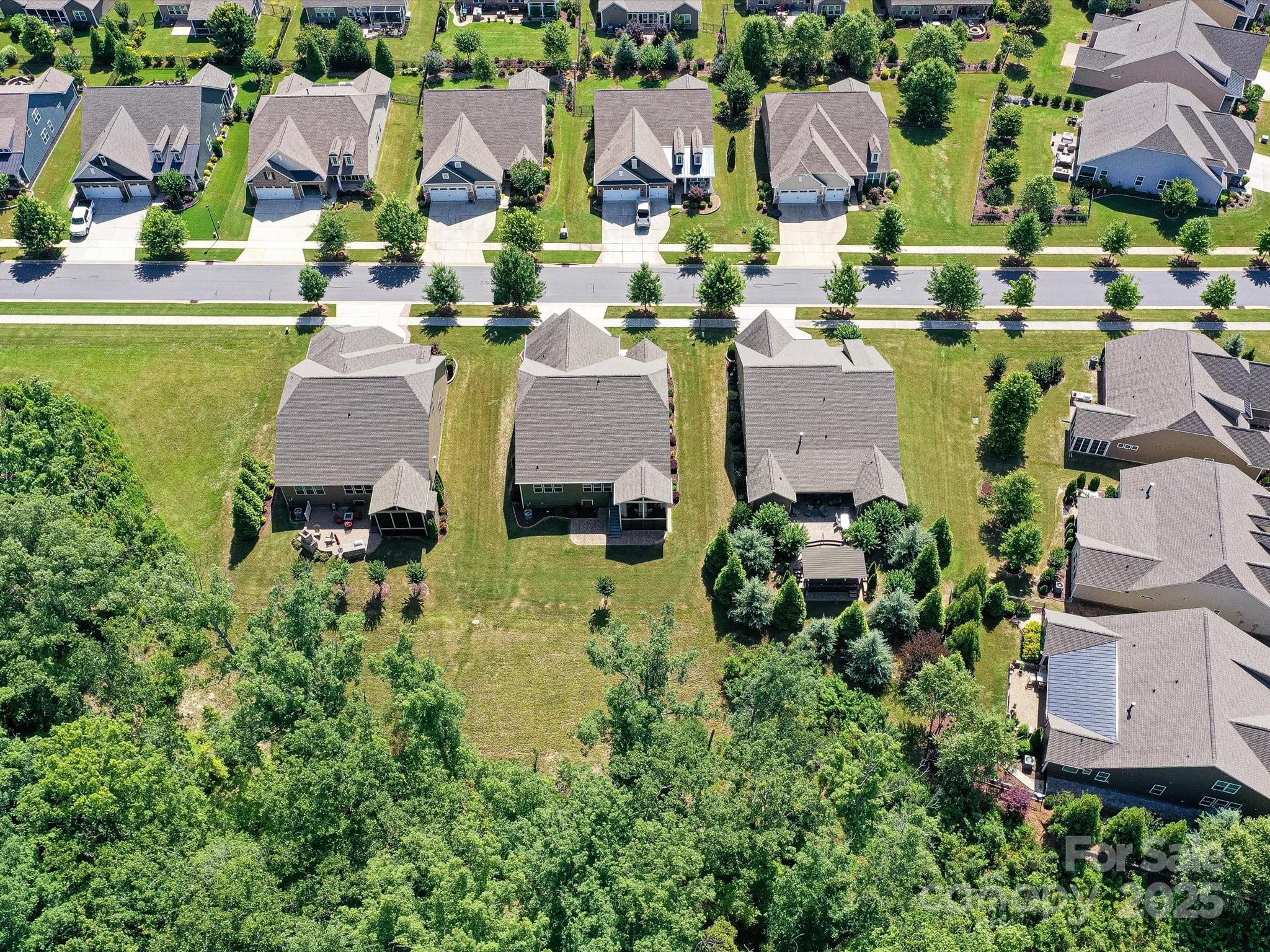 2972 Arches Bluff Circle Lancaster, SC 29720 - Photo 36 of 47 an aerial view of residential houses with outdoor space and street view